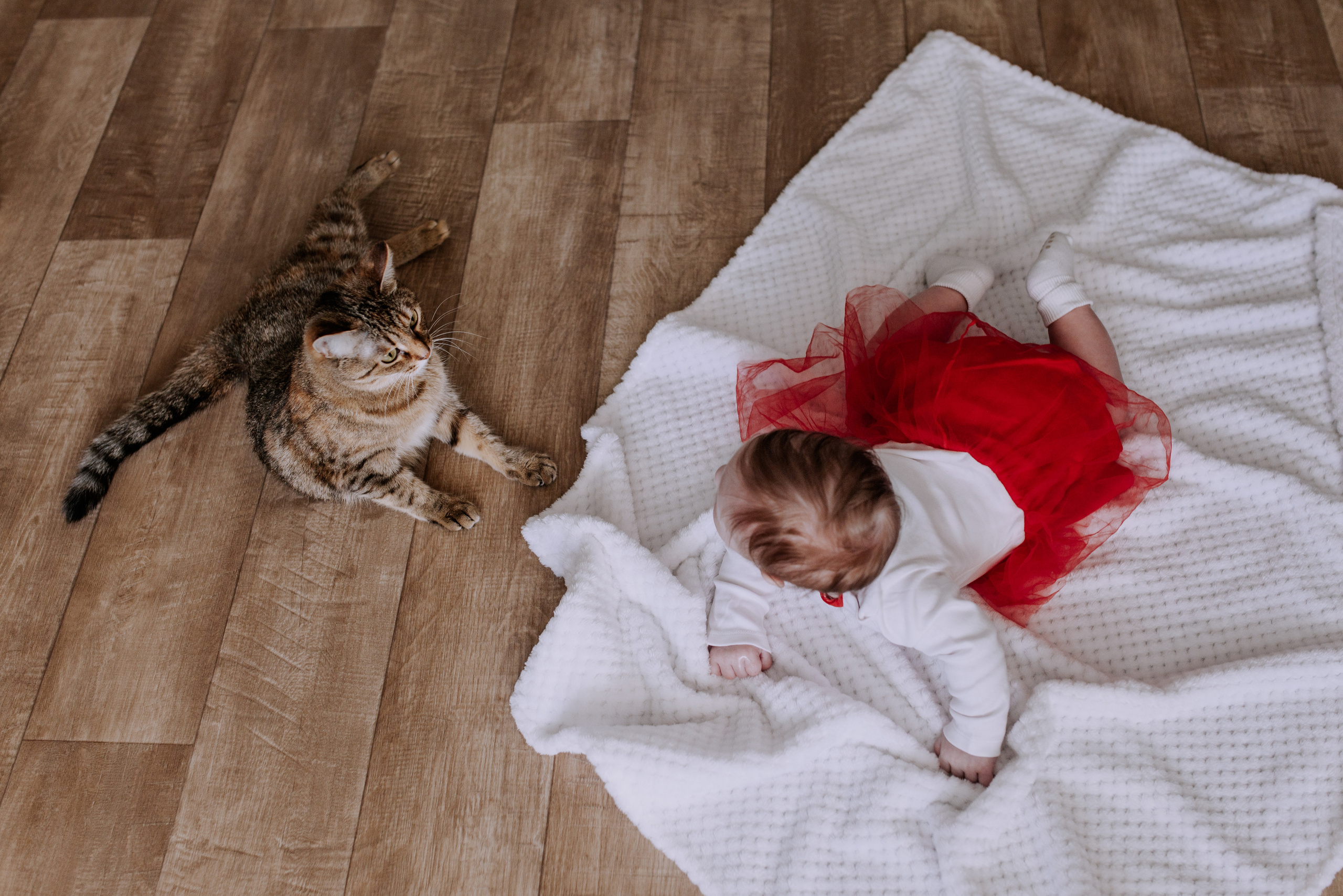 Домашняя новогодняя фотосессия в Тюмени. Фотограф Шелудкова Яна, город Тюмень