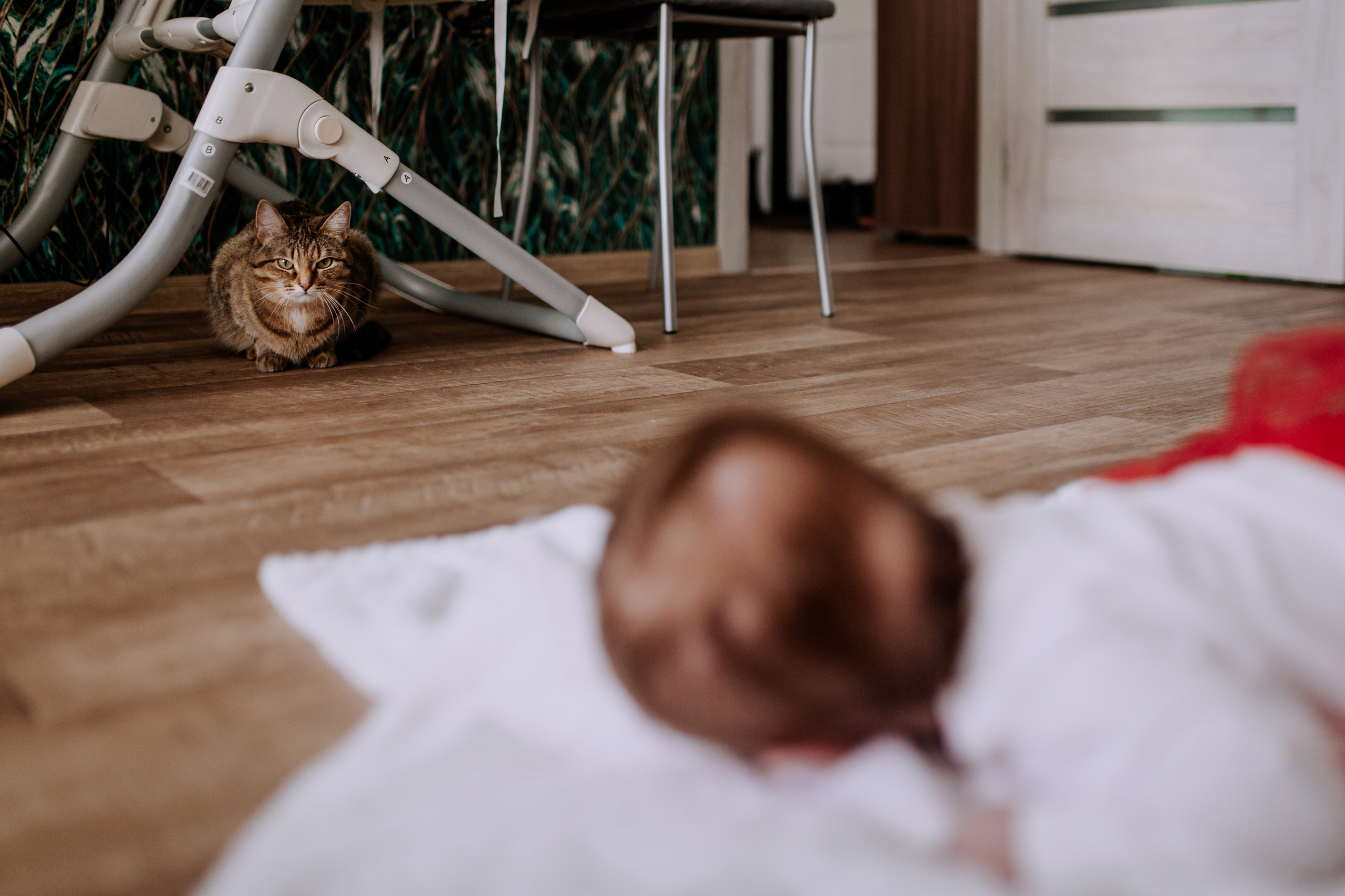 Домашняя новогодняя фотосессия в Тюмени. Фотограф Шелудкова Яна, город Тюмень