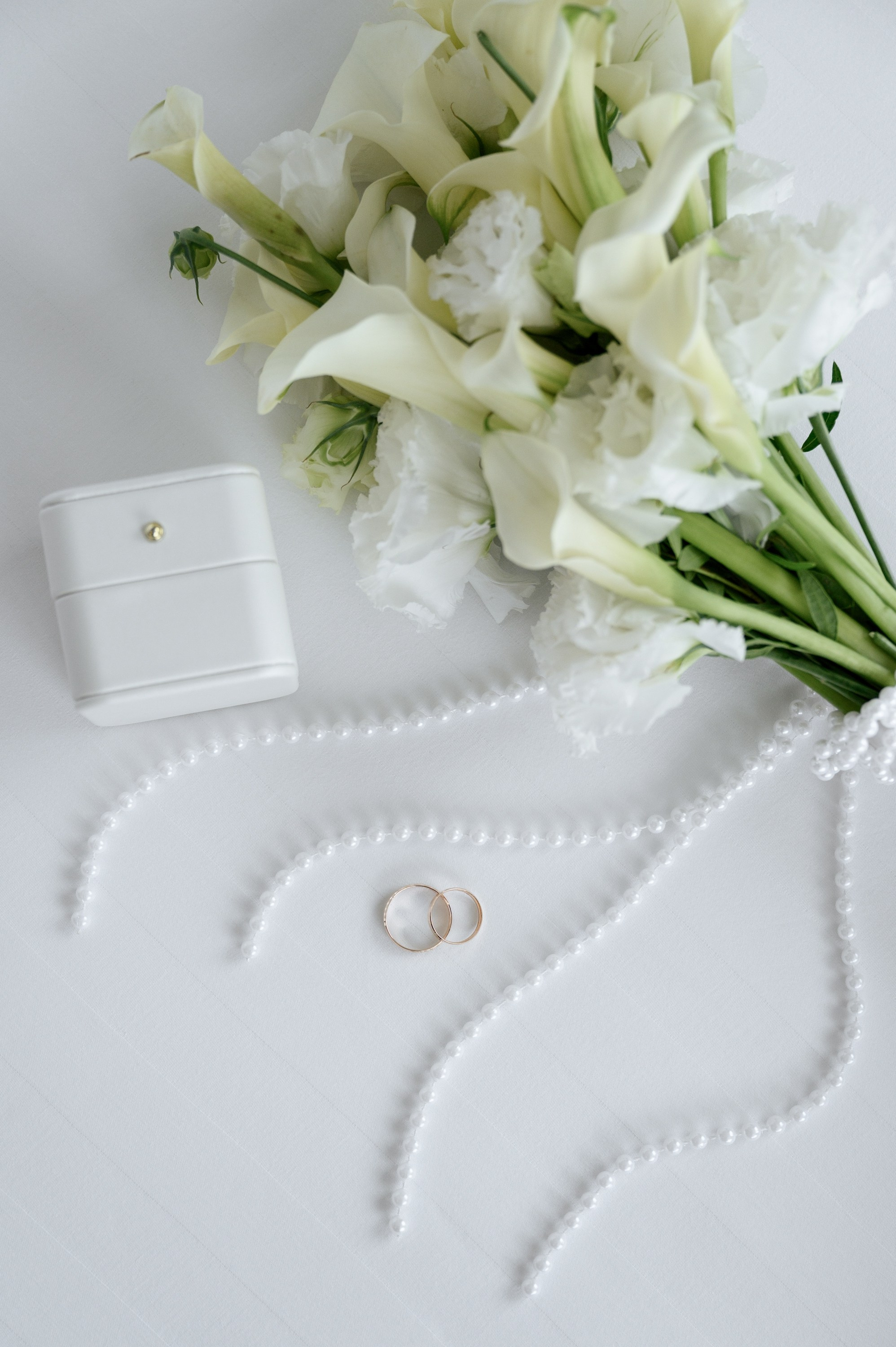 Антон и Виолета. Zhulanovilya