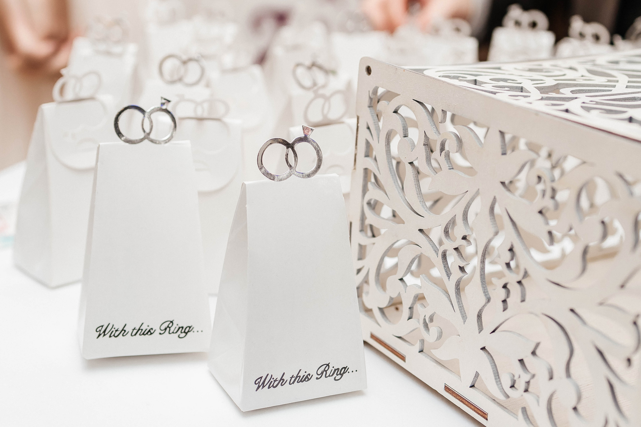 Лёша и Настя. Свадебный и портретный фотограф Минск Евсович Инна