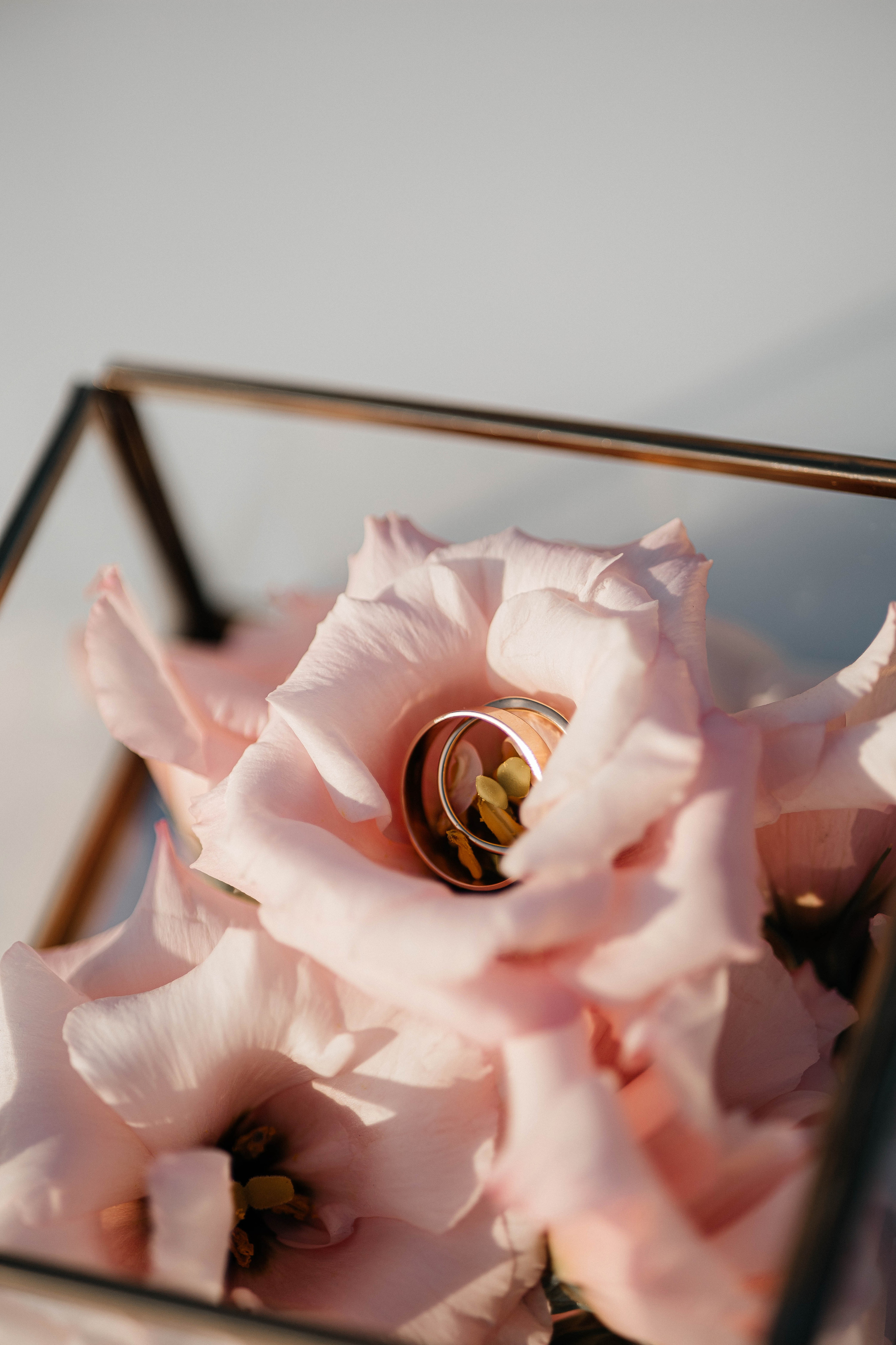 Антон и Марина. Свадебный и портретный фотограф Минск Евсович Инна