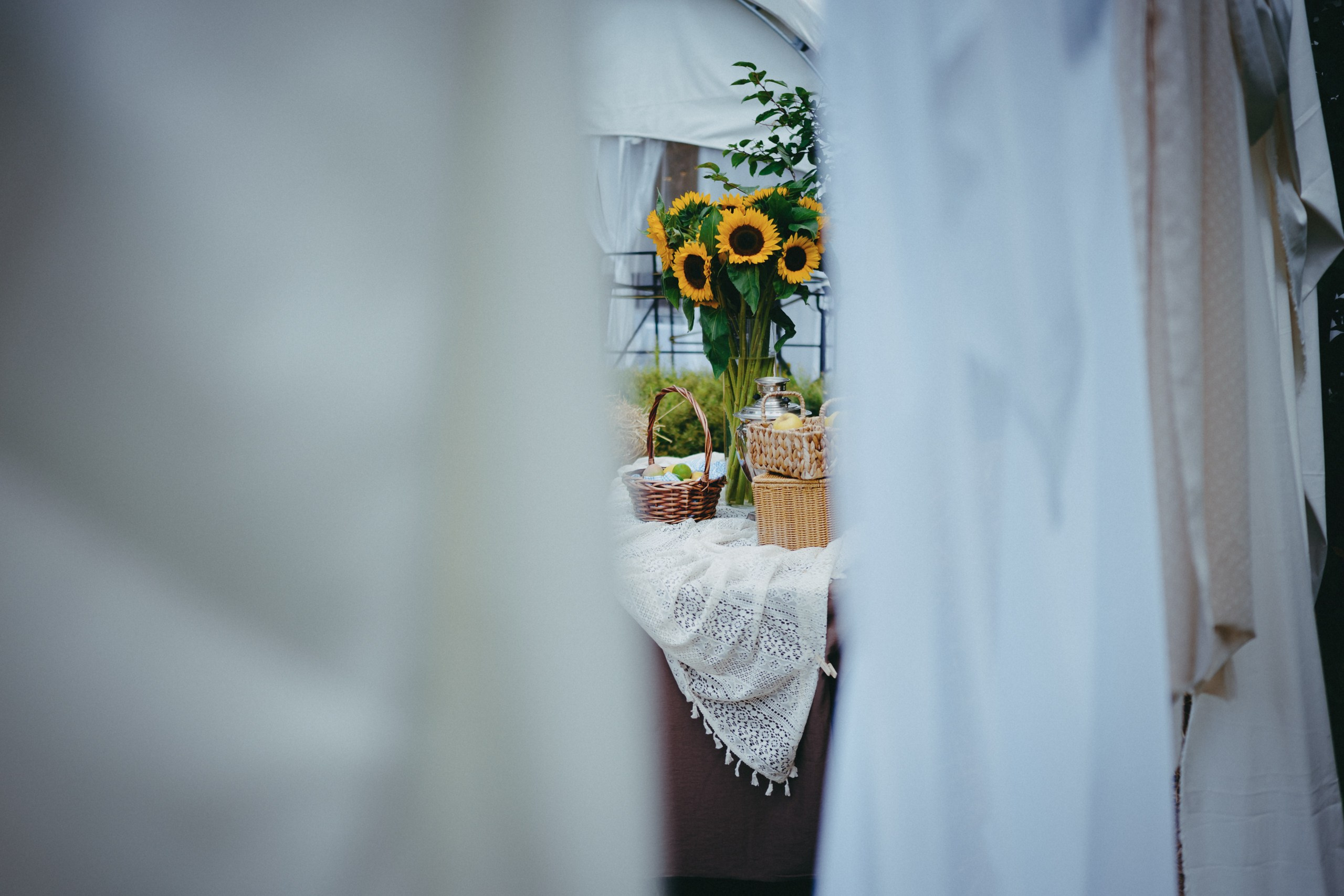 Корпоратив летом под открытым небом. Komonev