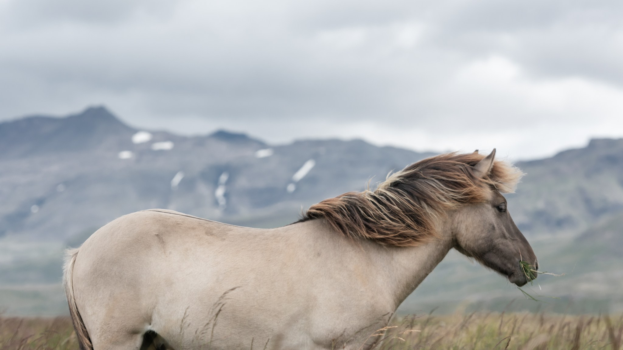 NATURE. Sailing Photographer Marina Semenova