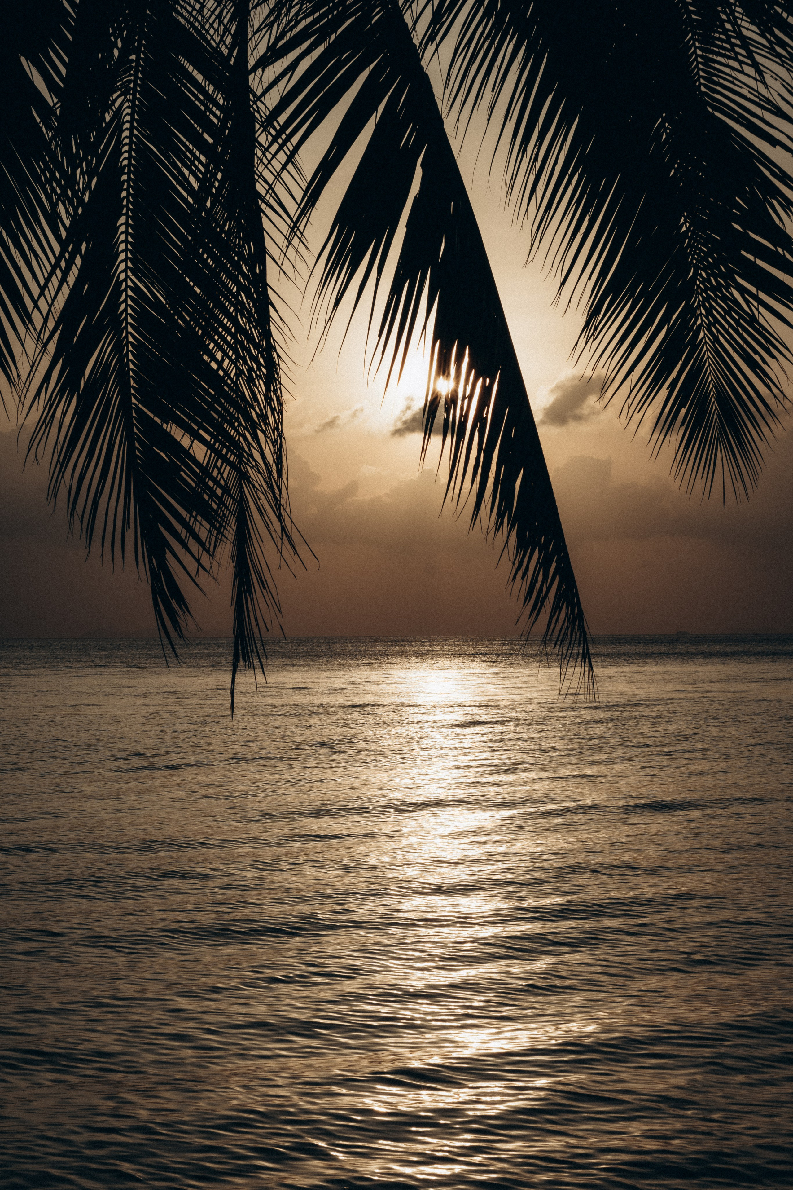 Артур и Оля. Фотограф Москва / Зеленоград — Наталья Петухова