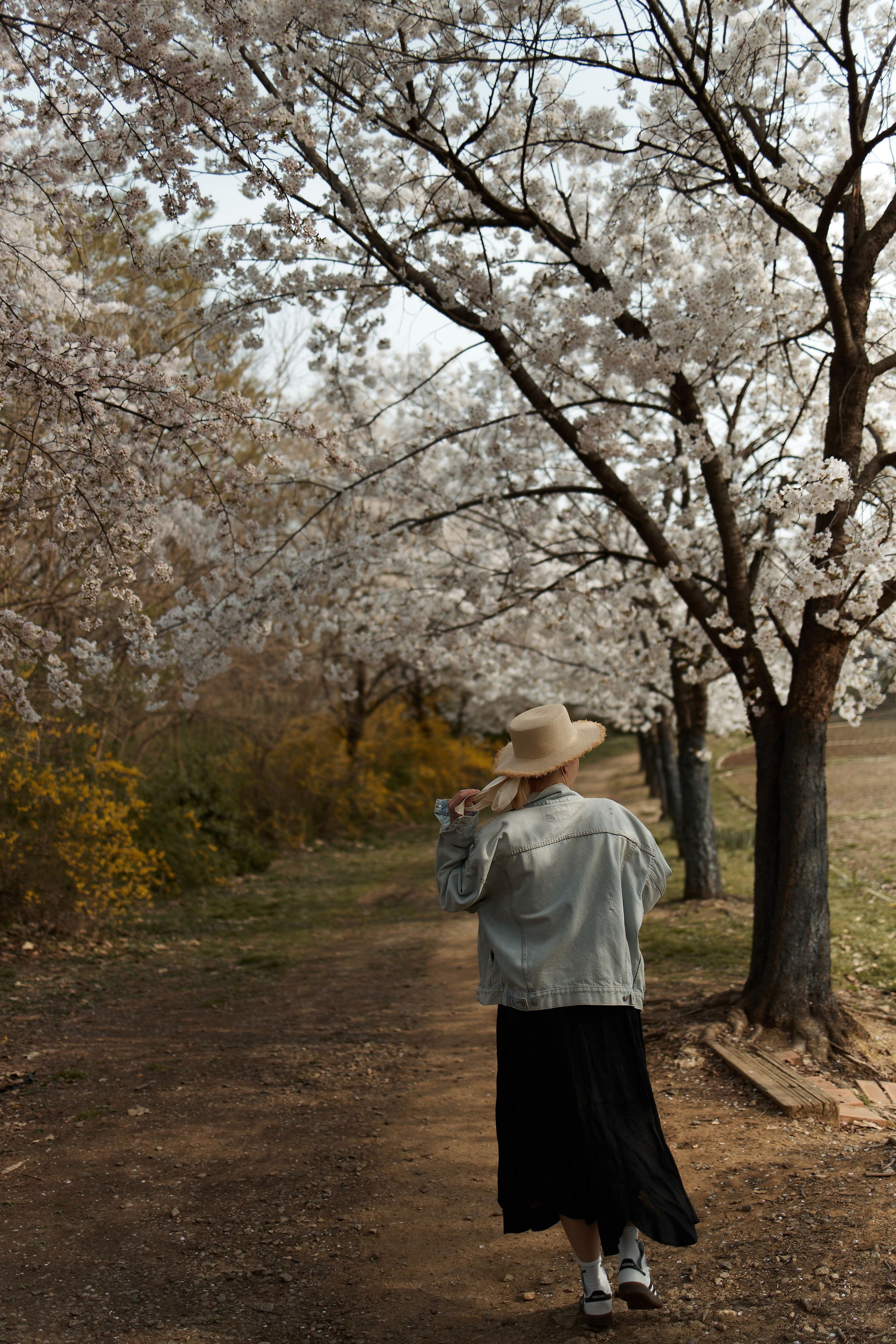 Таня | Сеул. Katerina Simina — worldwide photographer | Europe