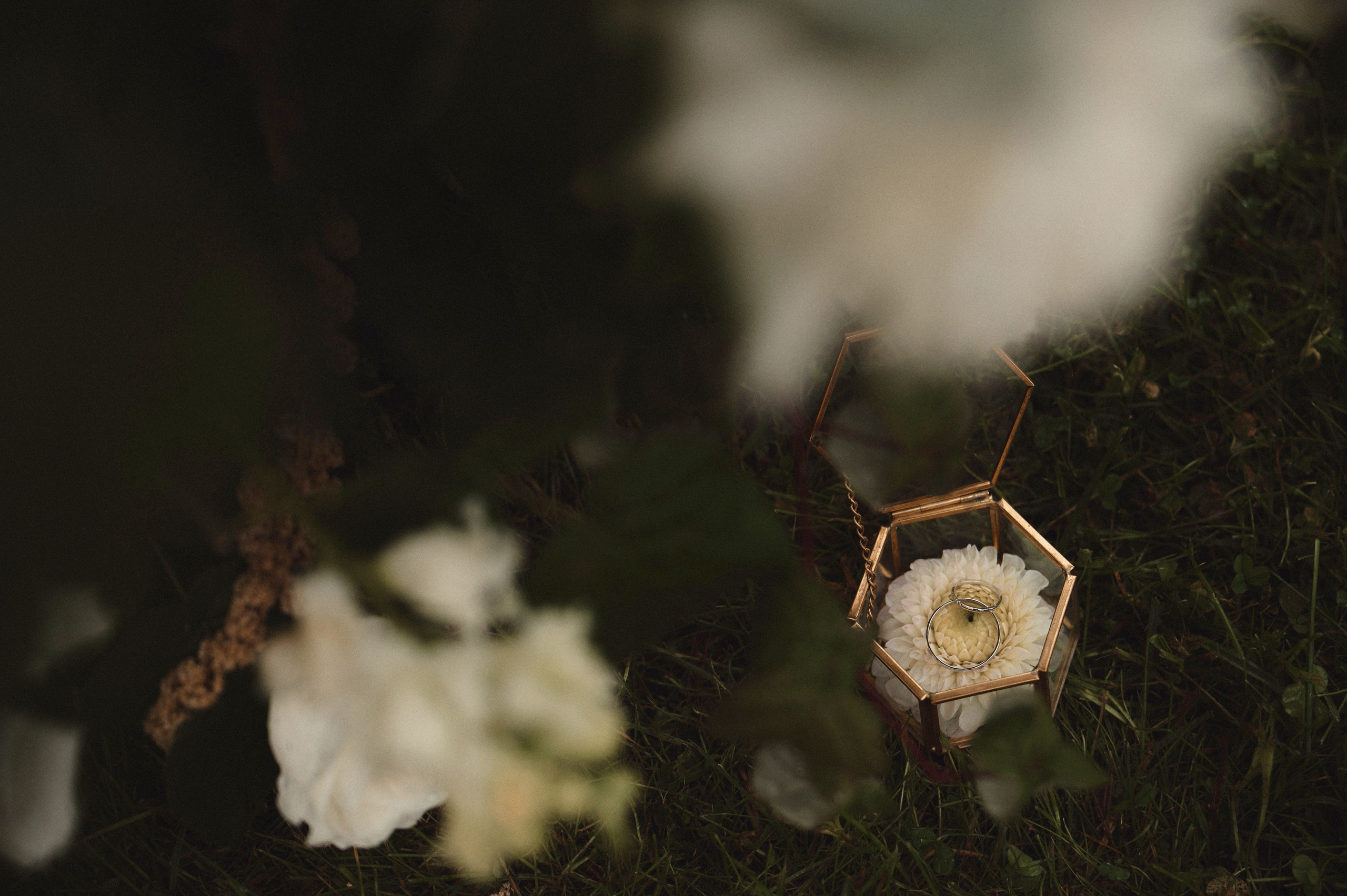 Настя & Серёжа. Ваш мультижанровый фотограф Александр Белов