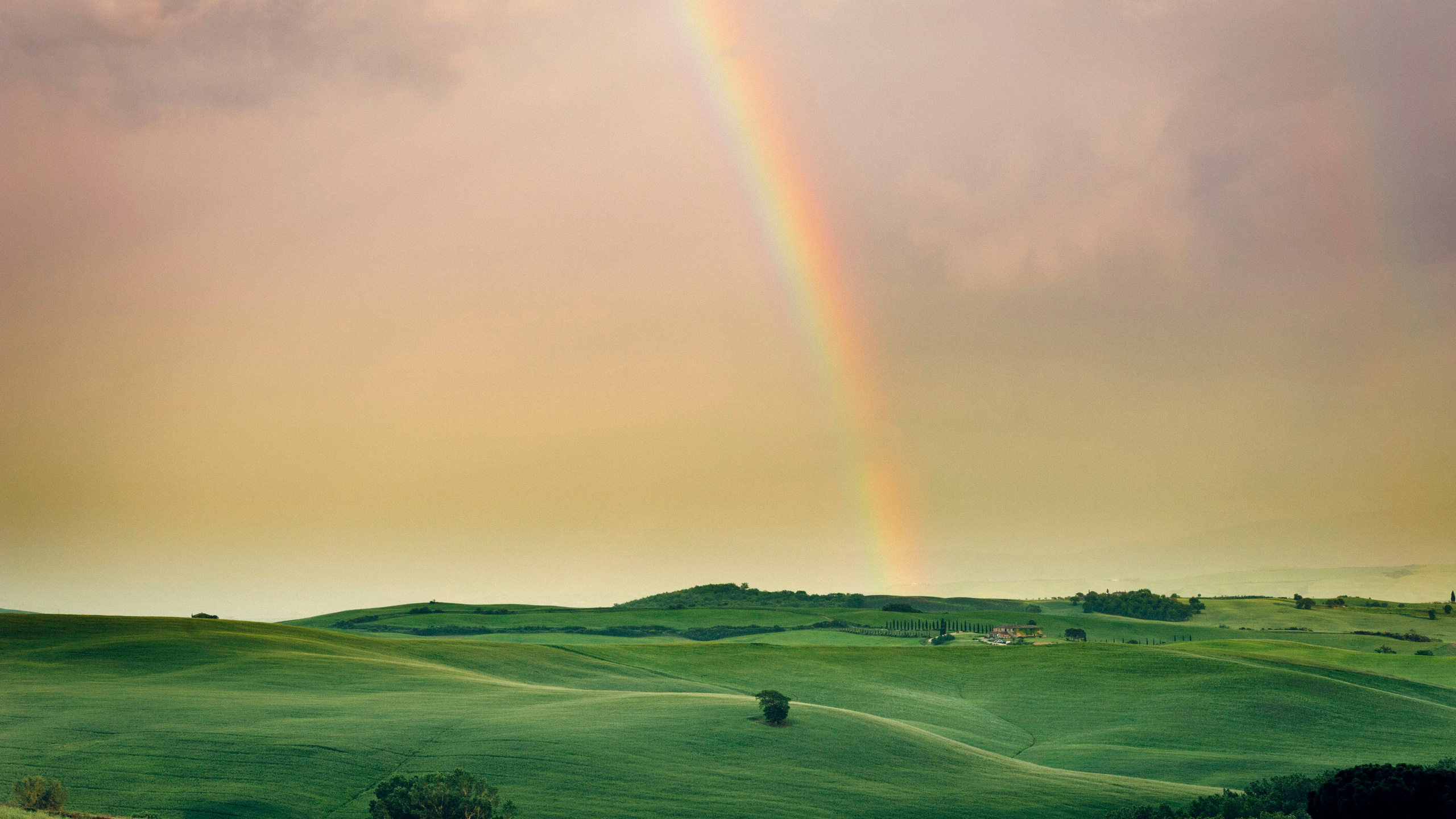 Фотограф Артем Севостьянов. Профессиональная фотосъемка в Ногинске, Москве, Московской области и за границей