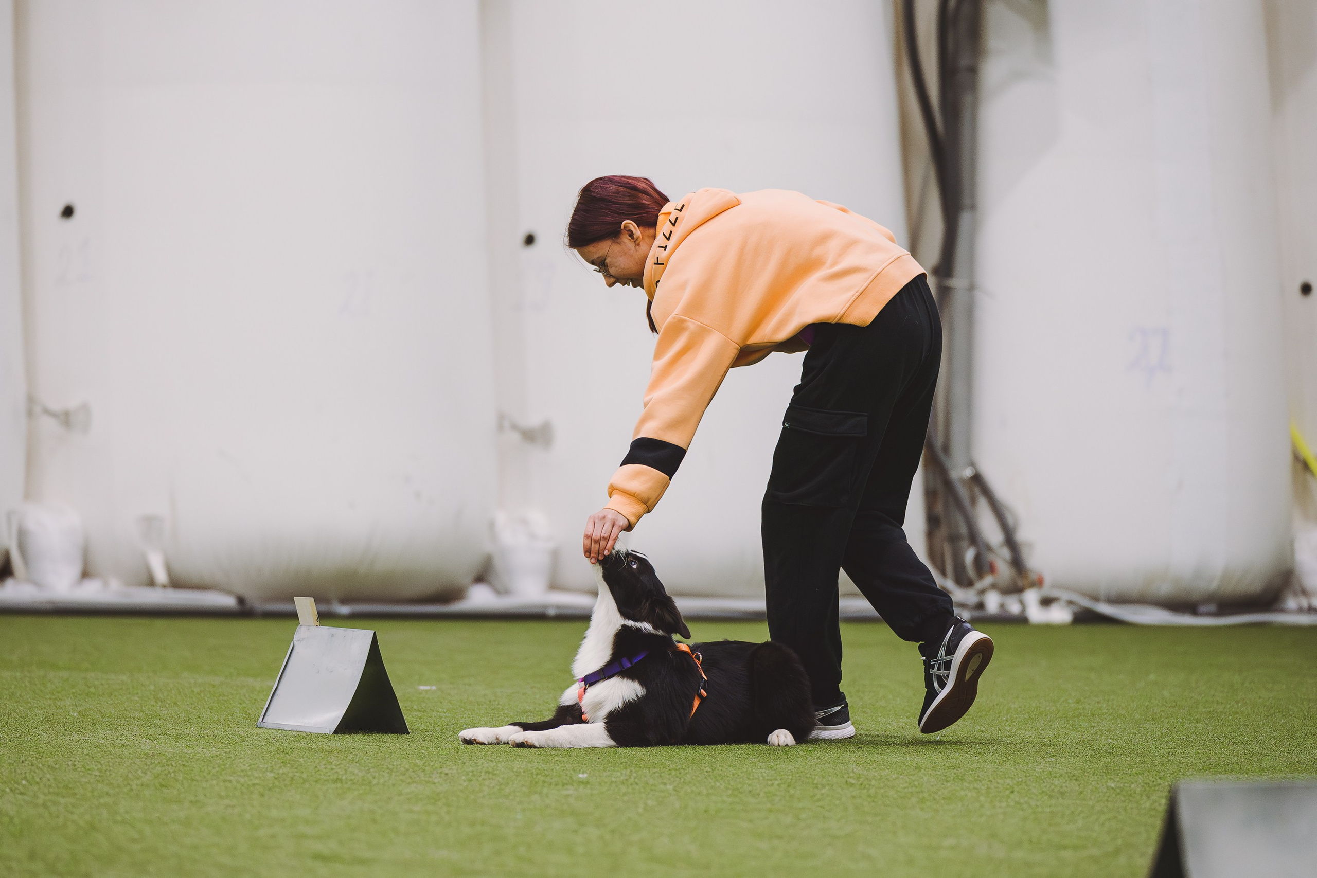 Кубрау. BLGKV питомник собак