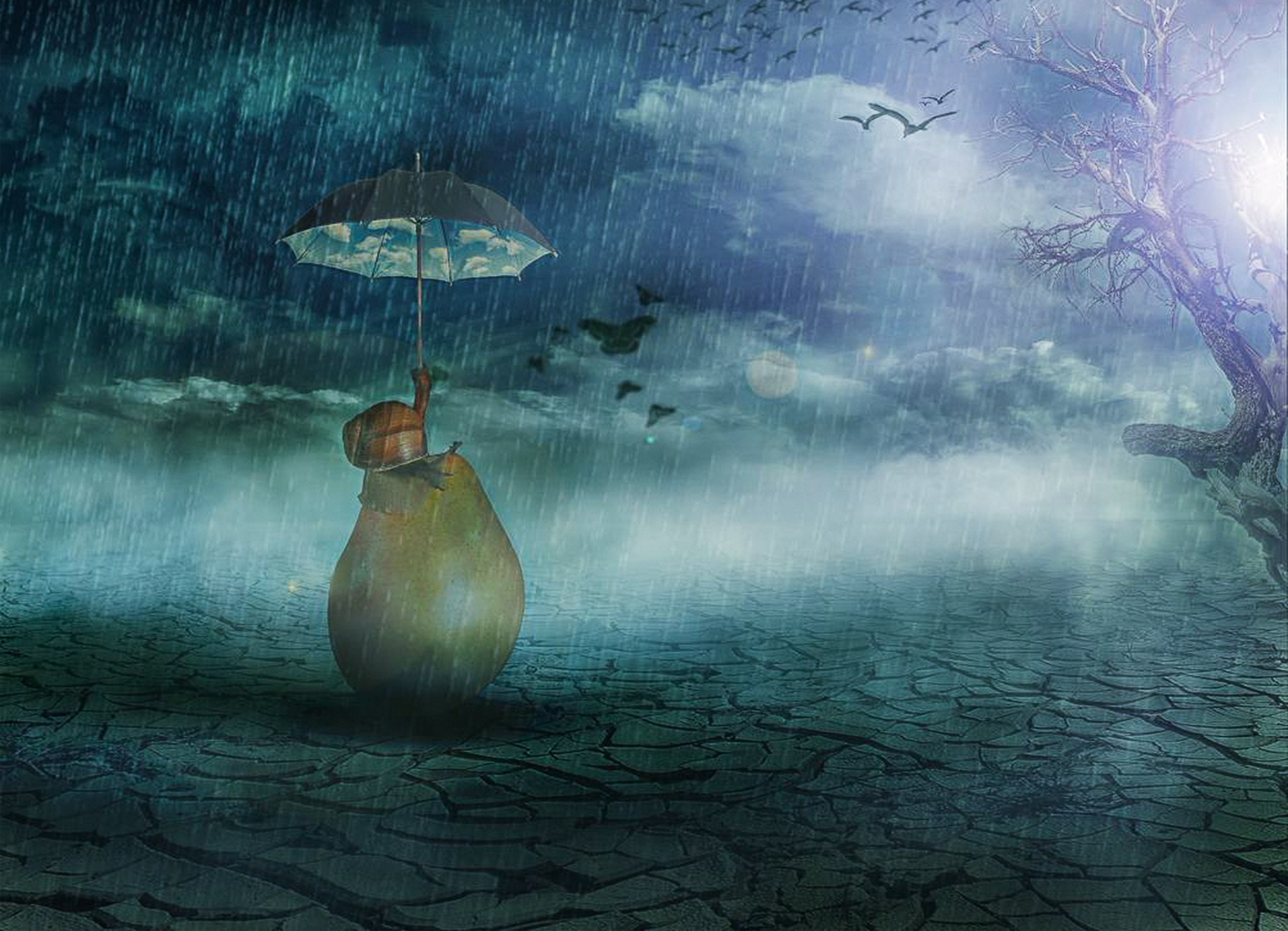 Концептуальный фотограф в Минеральных Водах. Медиапродюсер, фотограф в Минеральных Водах —Виктор Холодов