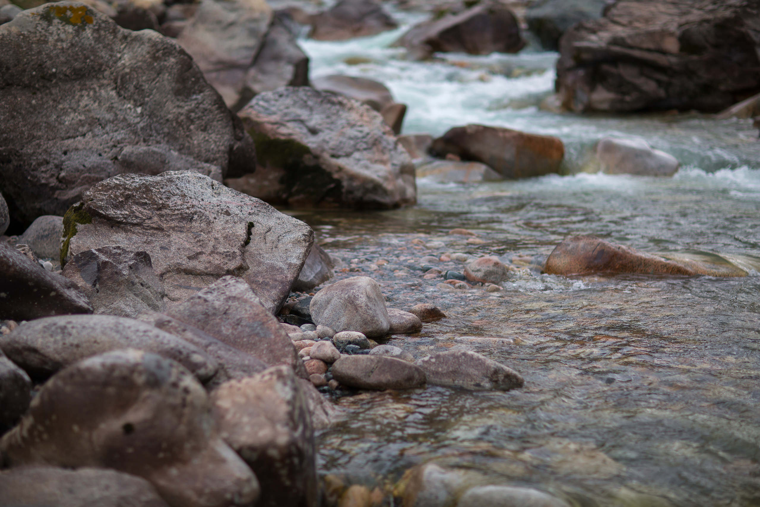 Бишкек. Свадебный и семейный фотограф/видеограф в Краснодаре Наталья Осинская