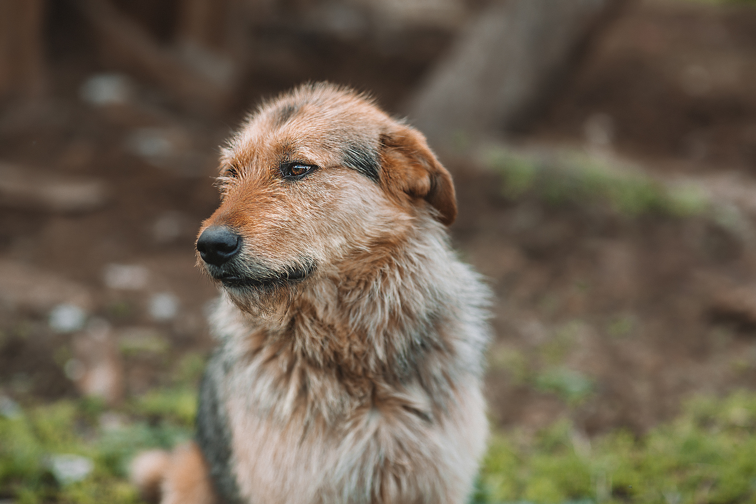 Кыргызстан. Свадебный и семейный фотограф/видеограф в Краснодаре Наталья Осинская