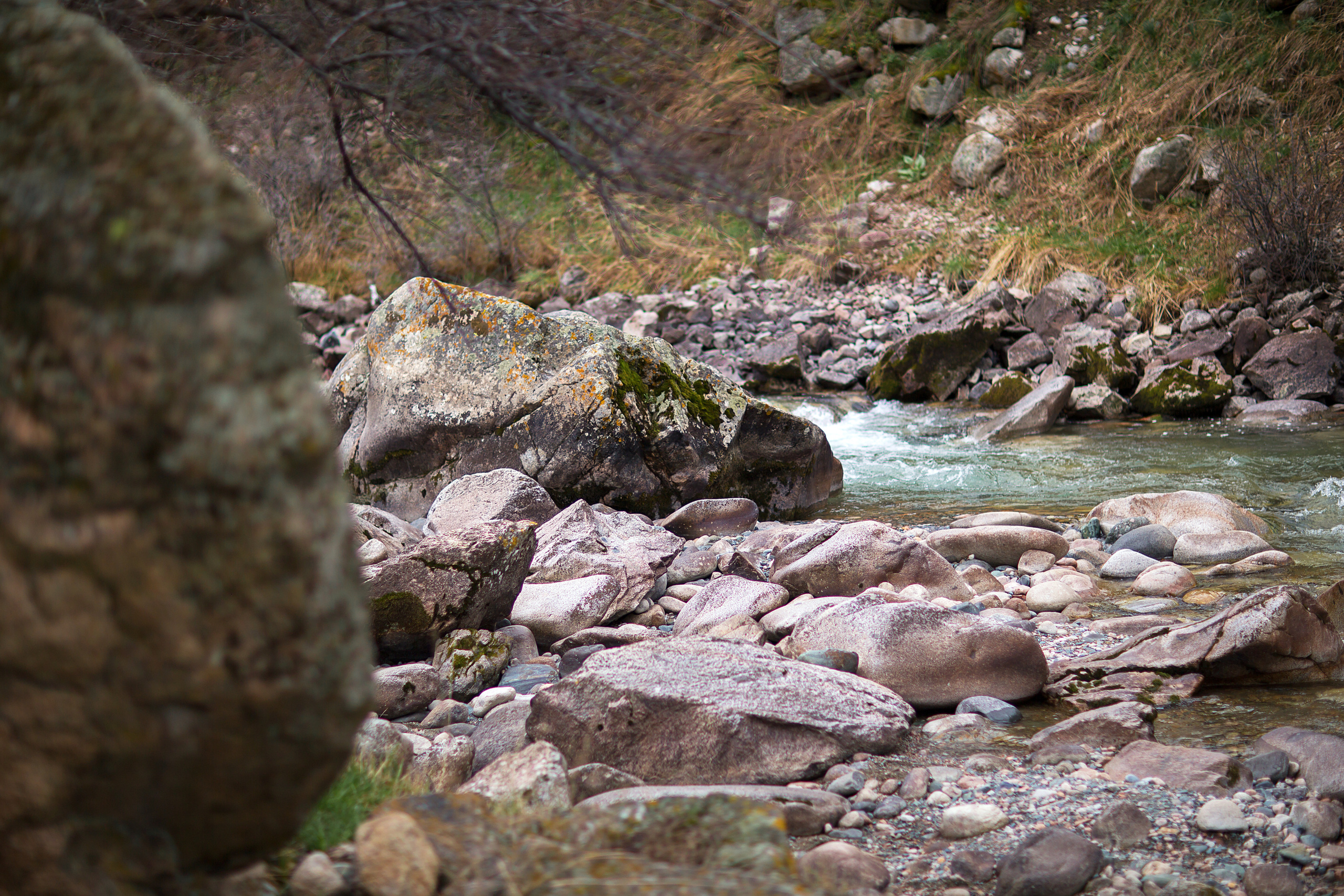 Бишкек. Свадебный и семейный фотограф/видеограф в Краснодаре Наталья Осинская