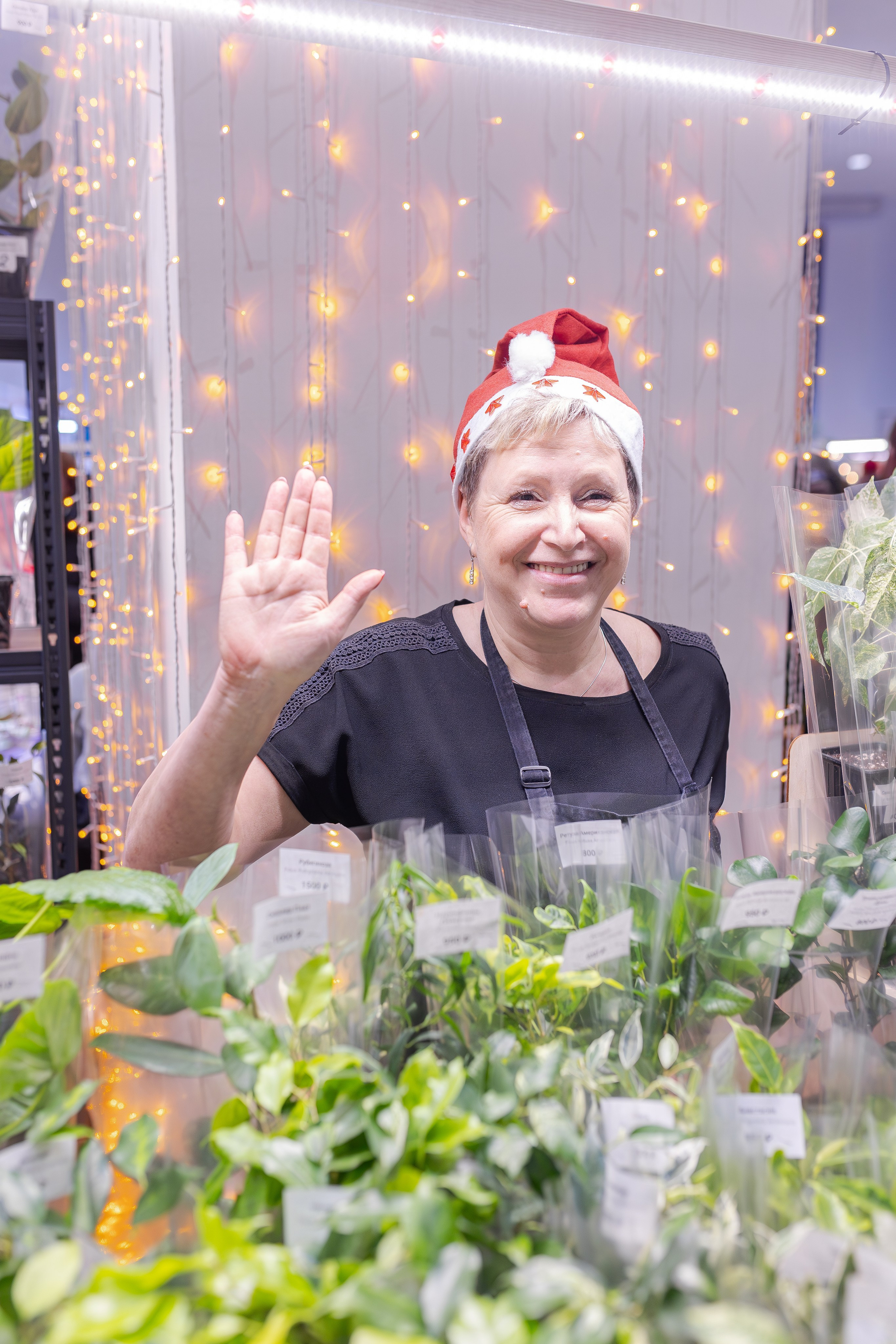 Орхидиум 12.2025. Александра Куликова фотограф, Москва