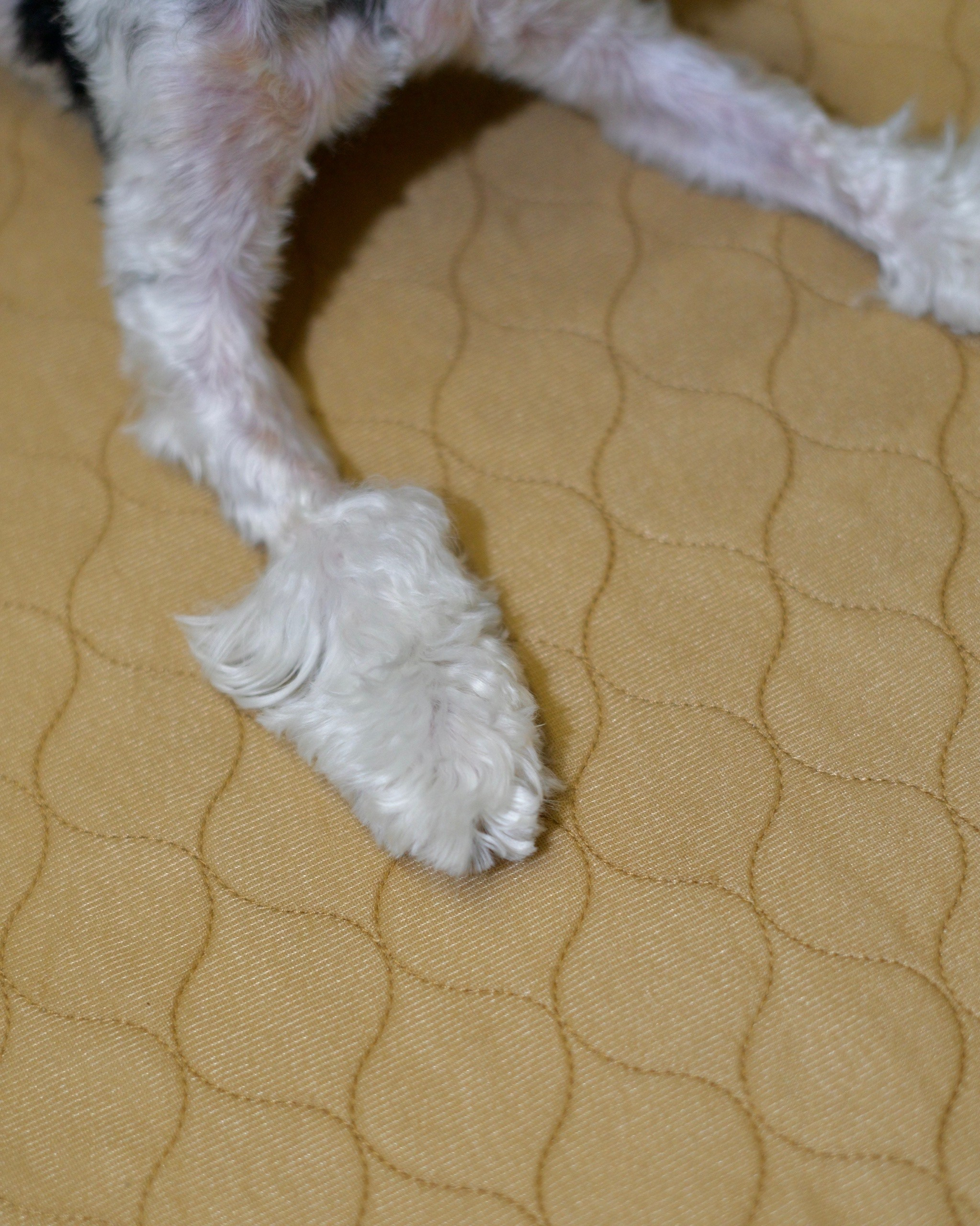 Stefan | Товары для маркетплейсов. Фотограф Александра Волкова | Волгоград