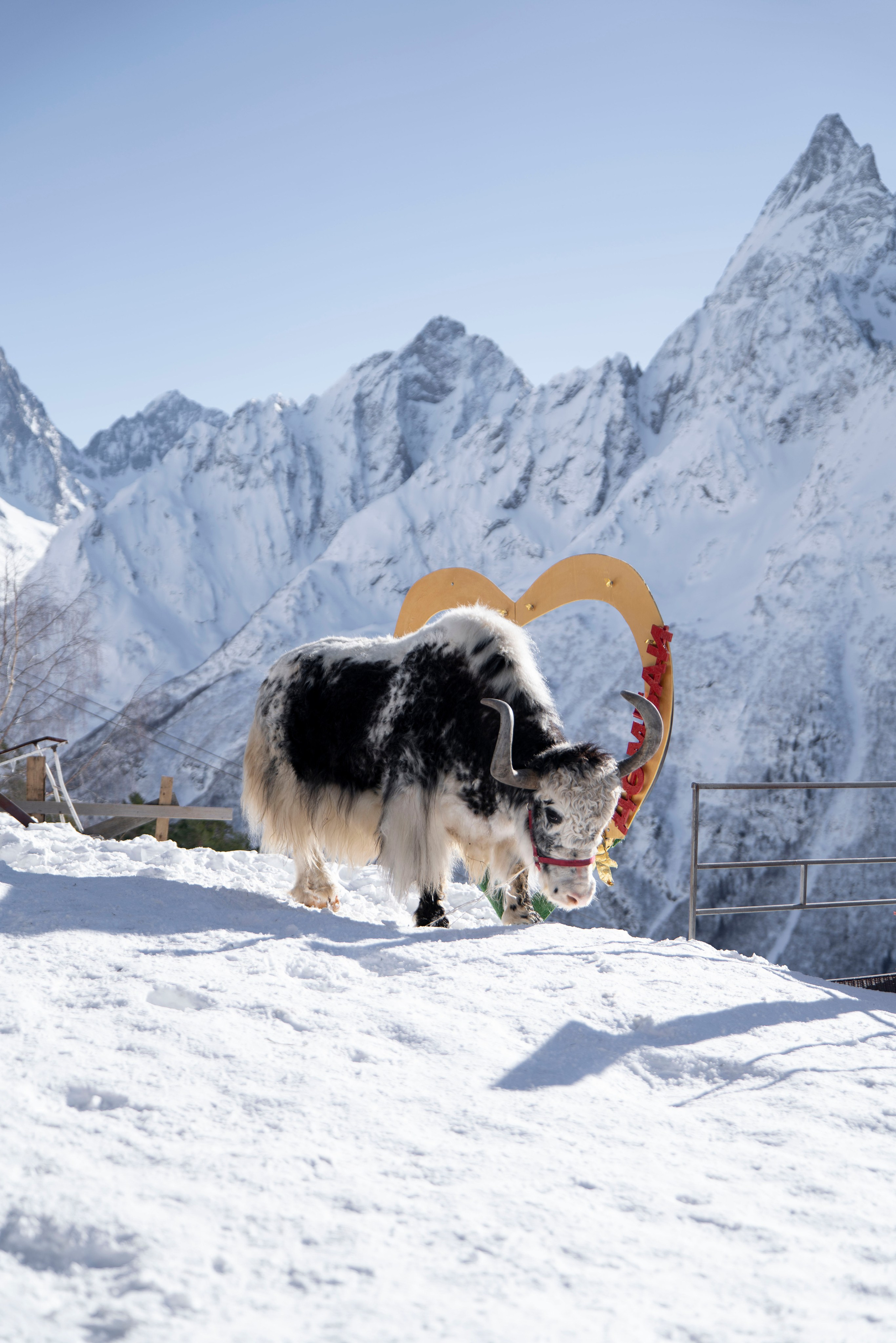 Домбай. Фотограф Александра Волкова | Волгоград