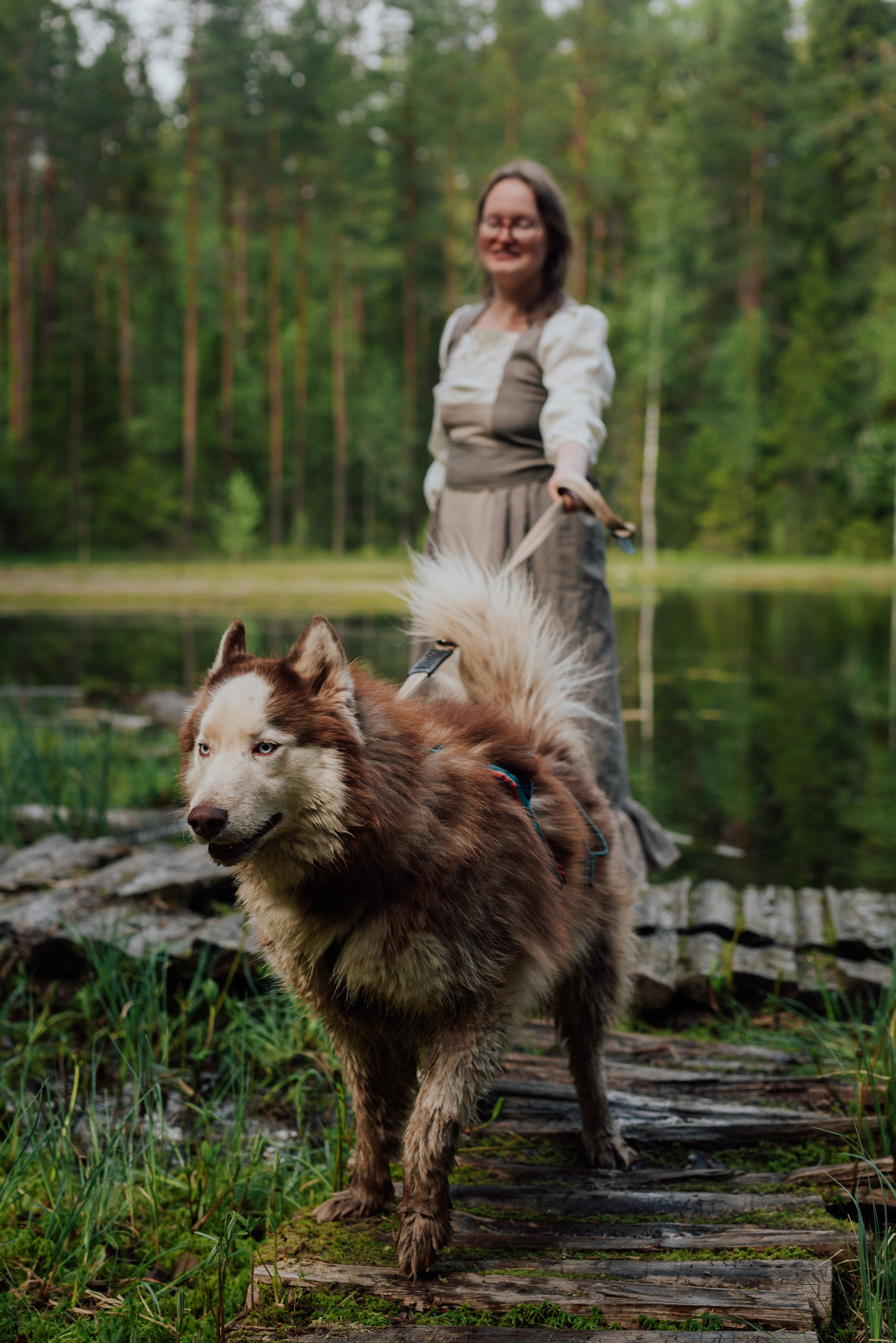 Догтрекинг. Фотограф в Санкт-Петербурге и Ленинградской области