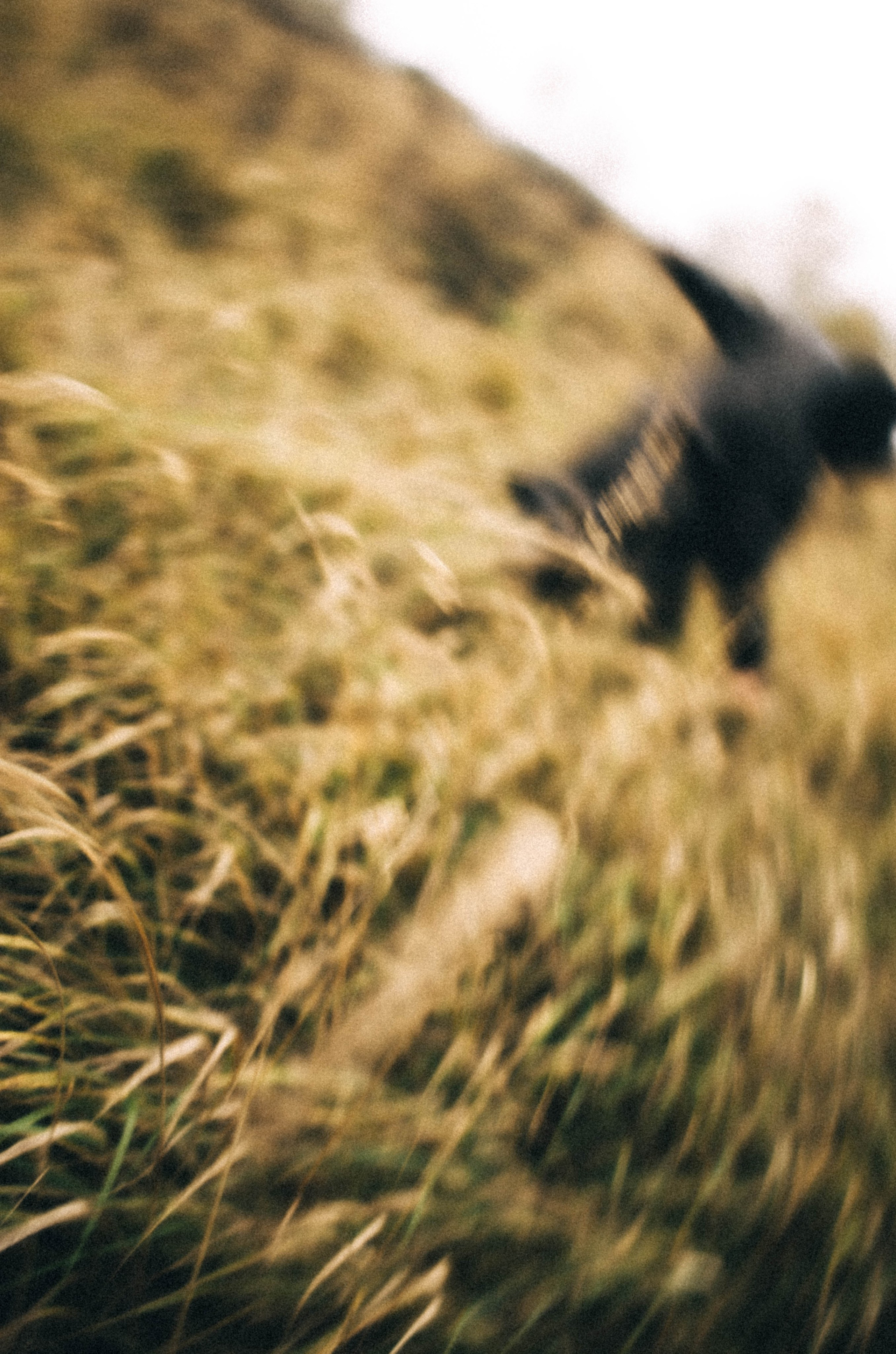 Хтонь дождливая. Фотограф в Нижнем Новгороде