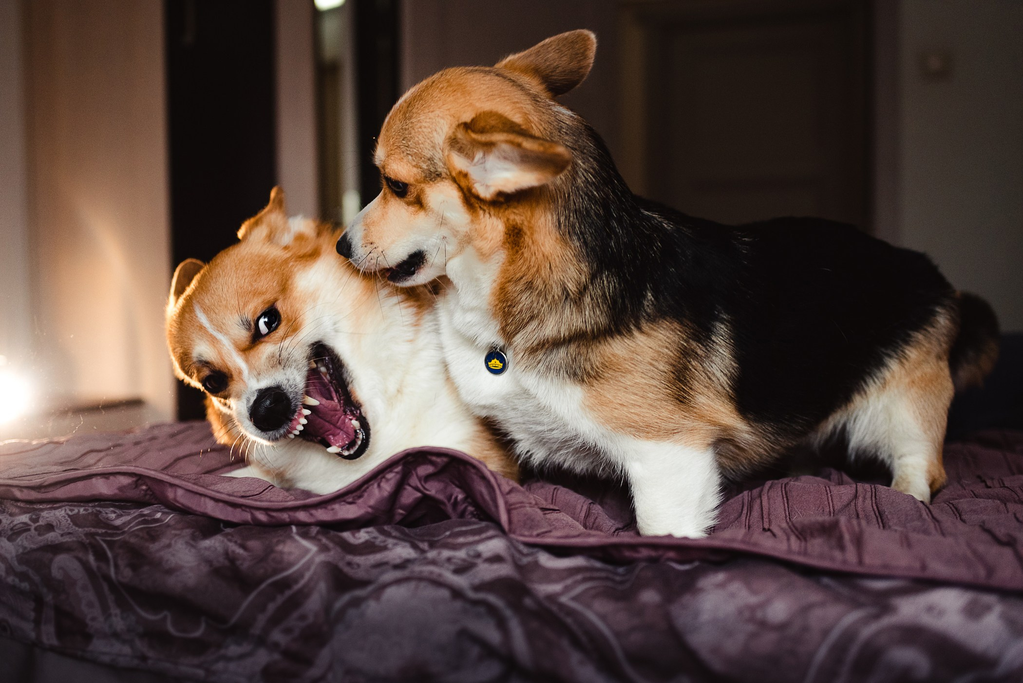 Пижамная вечеринка Тани и Димы. Семейный Фотограф в Москве Ирина Хохлова