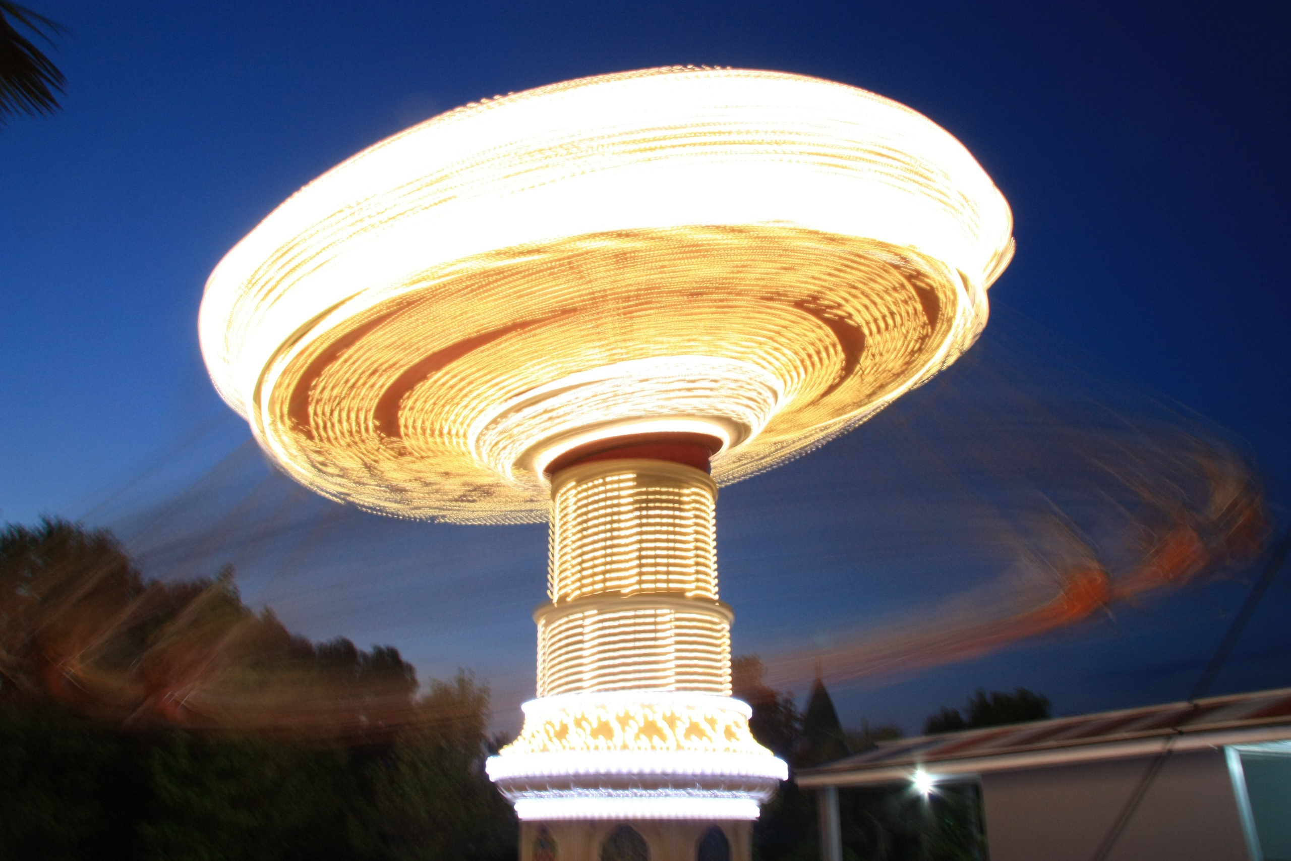 Первые кадры. Сочи — парк. Фотограф Роман Адлер