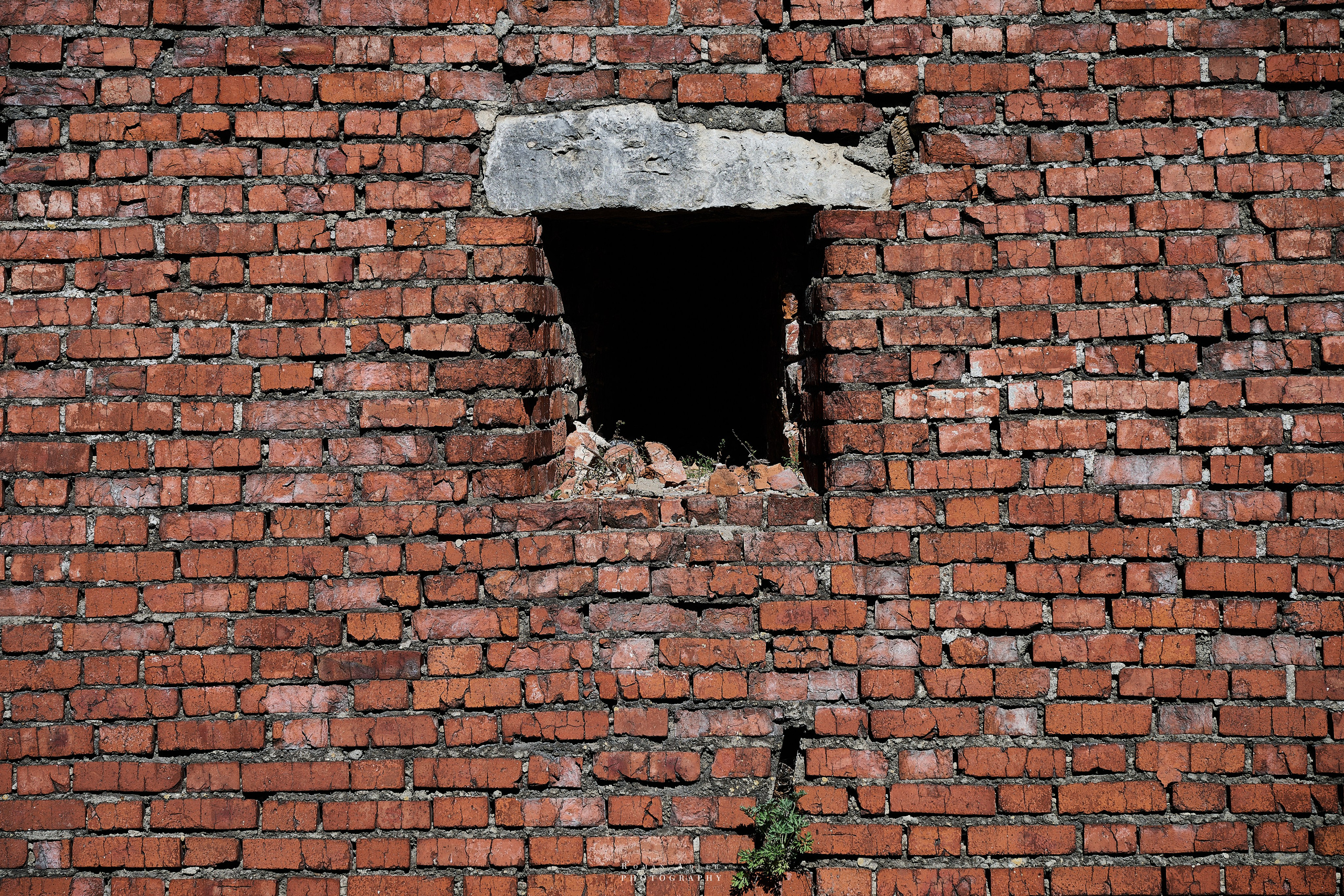 Мини путешествие в Коломну. Сентябрь 2024. Фотограф Роман Адлер