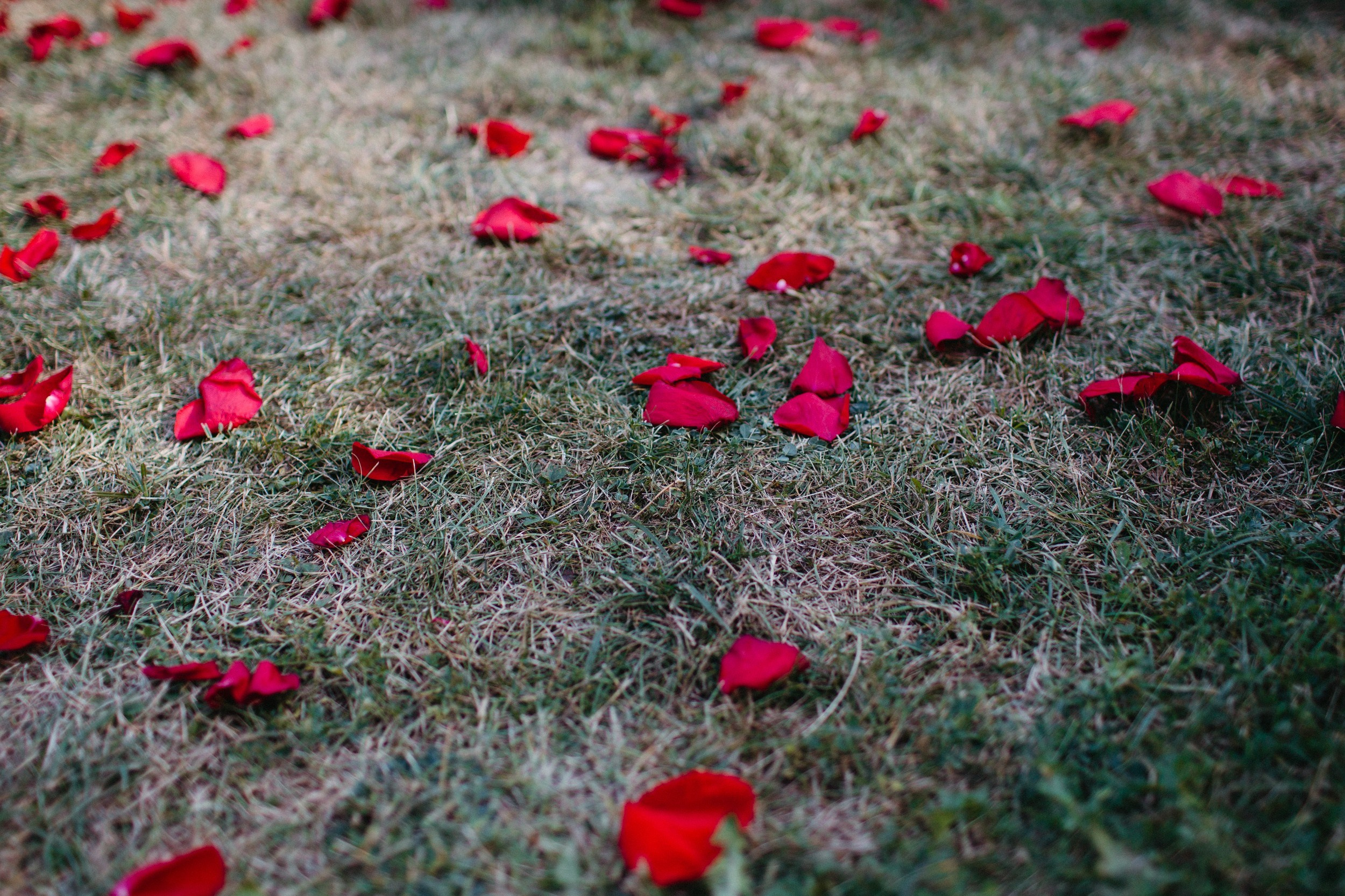 Кирилл и Виктория. Свадебный фотограф Гродно Минск Destination wedding photographer