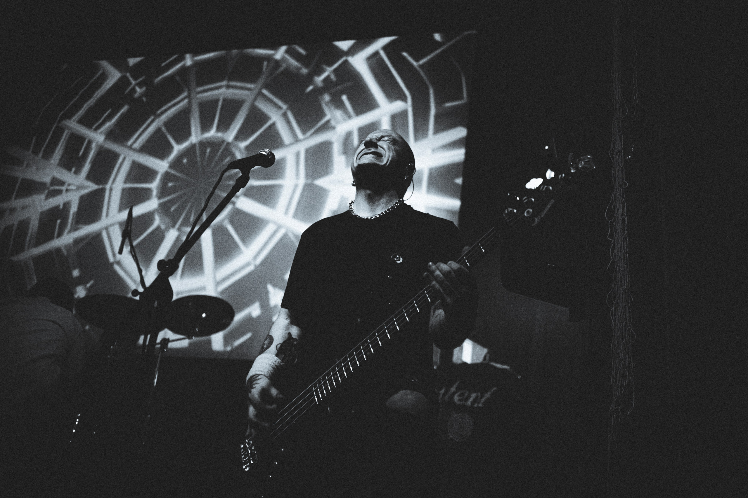 WITNESS EFFECT | 19.04.25 | Ласточка