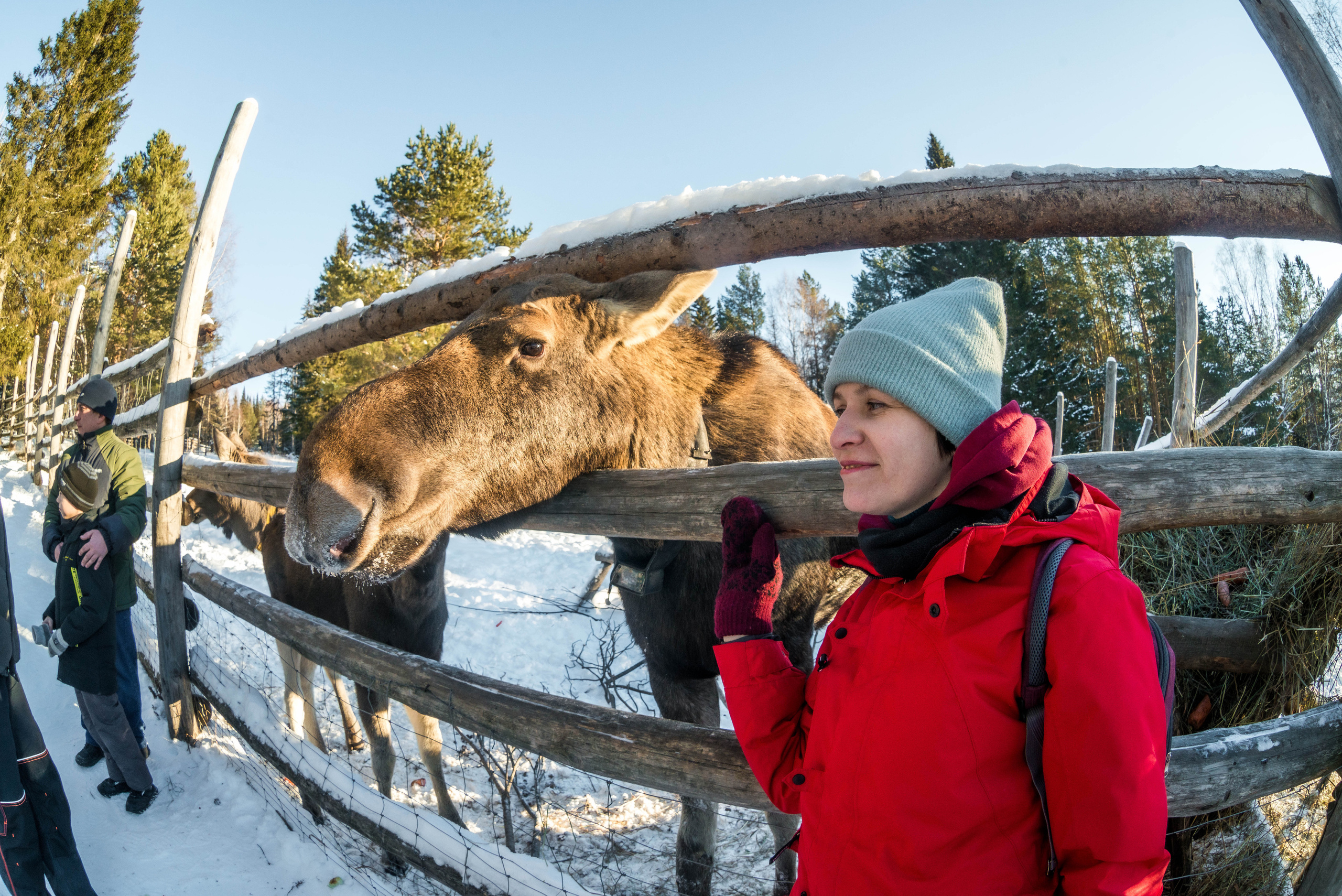 Парк Зюраткуль — Ледяной фонтан, Сохатка и хребет Москаль. Свадебный фотограф на Урале Виктор Соколов