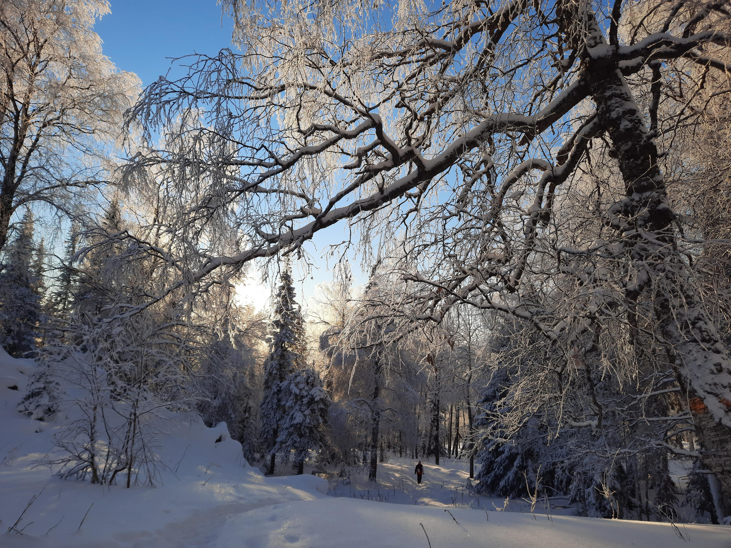 Парк Зюраткуль — Ледяной фонтан, Сохатка и хребет Москаль. Свадебный фотограф на Урале Виктор Соколов