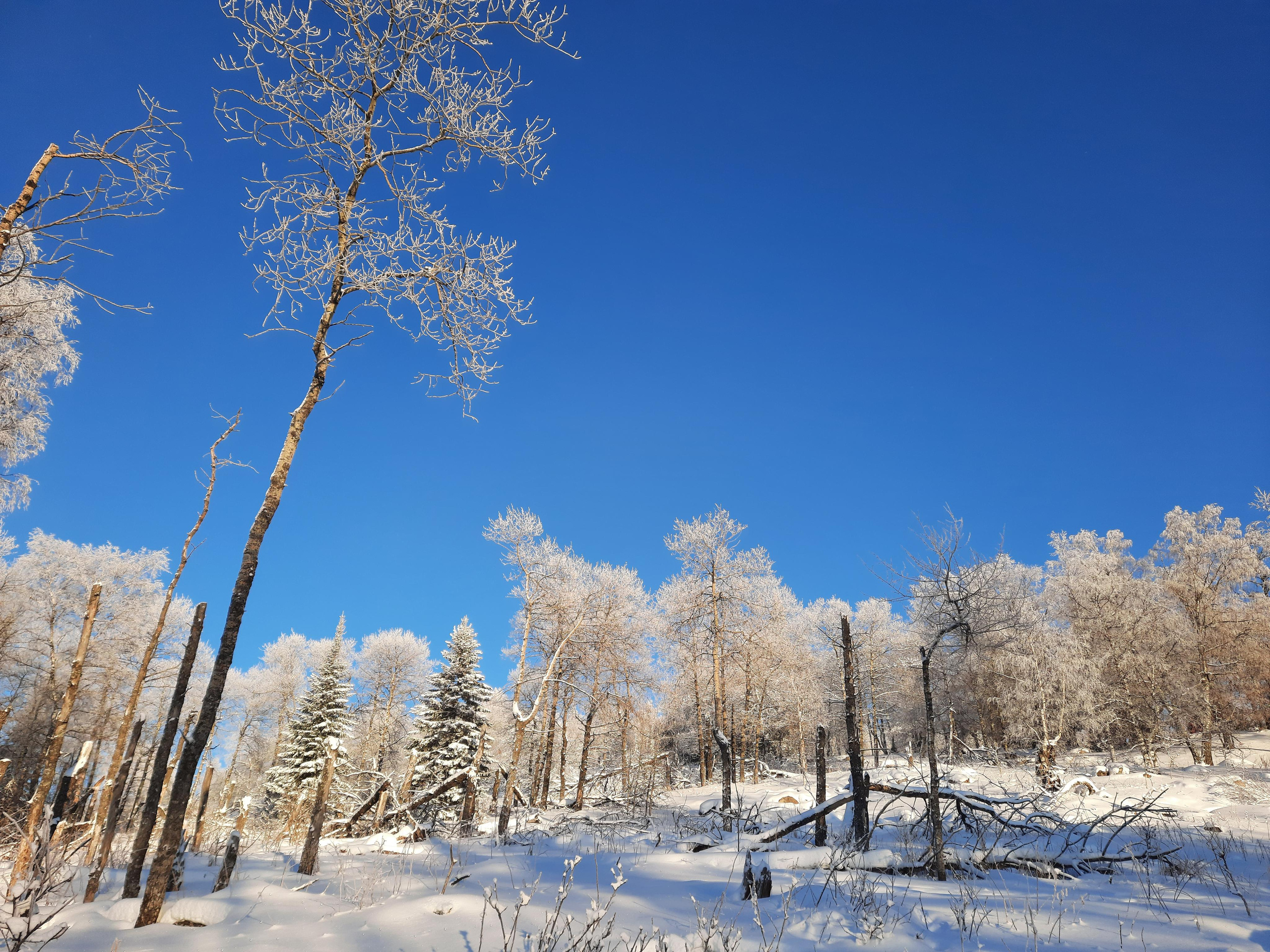 Парк Зюраткуль — Ледяной фонтан, Сохатка и хребет Москаль. Свадебный фотограф на Урале Виктор Соколов