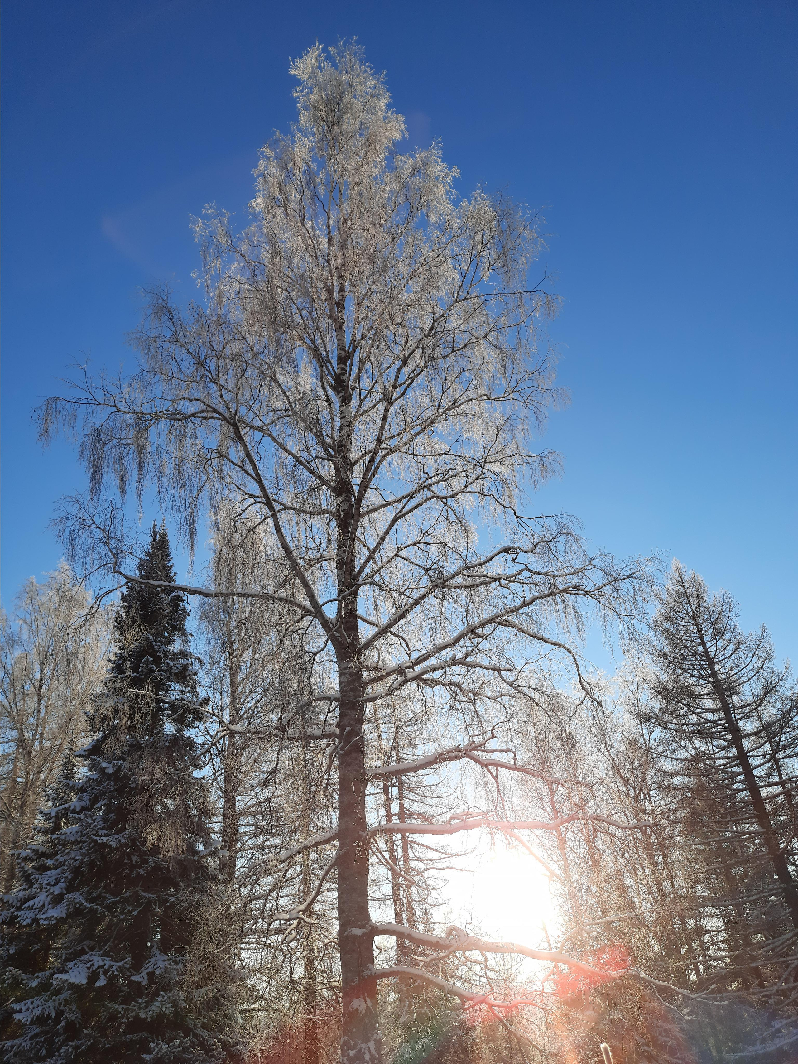 Парк Зюраткуль — Ледяной фонтан, Сохатка и хребет Москаль. Свадебный фотограф на Урале Виктор Соколов