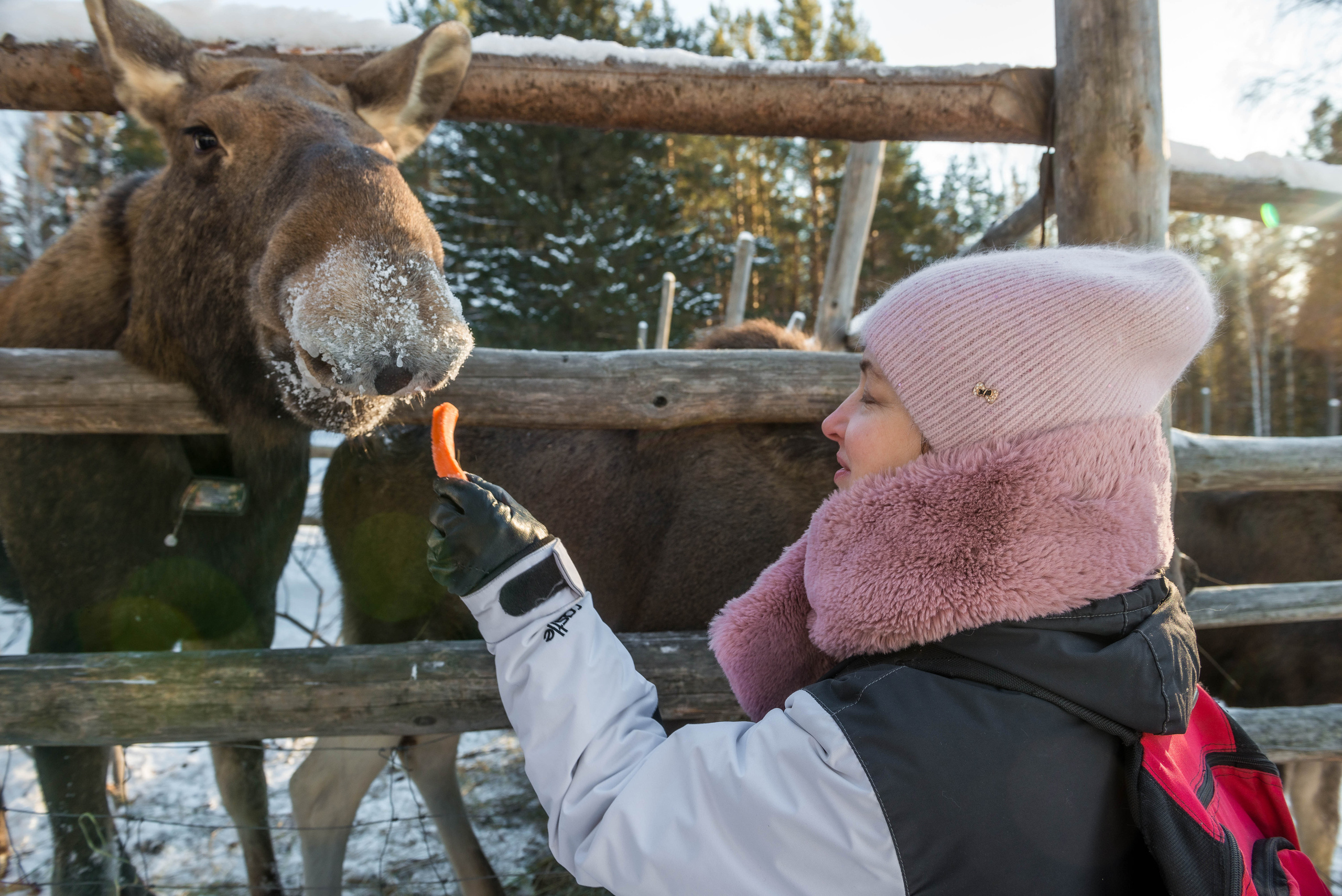 Парк Зюраткуль — Ледяной фонтан, Сохатка и хребет Москаль. Свадебный фотограф на Урале Виктор Соколов