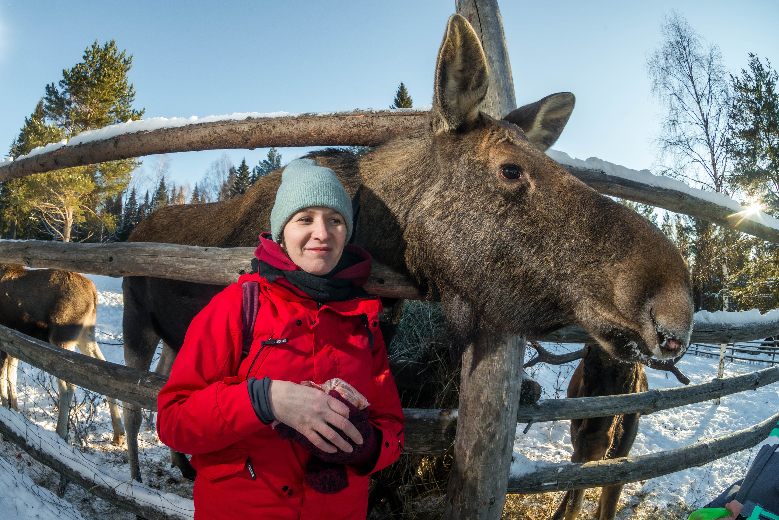 Парк Зюраткуль — Ледяной фонтан, Сохатка и хребет Москаль. Свадебный фотограф на Урале Виктор Соколов