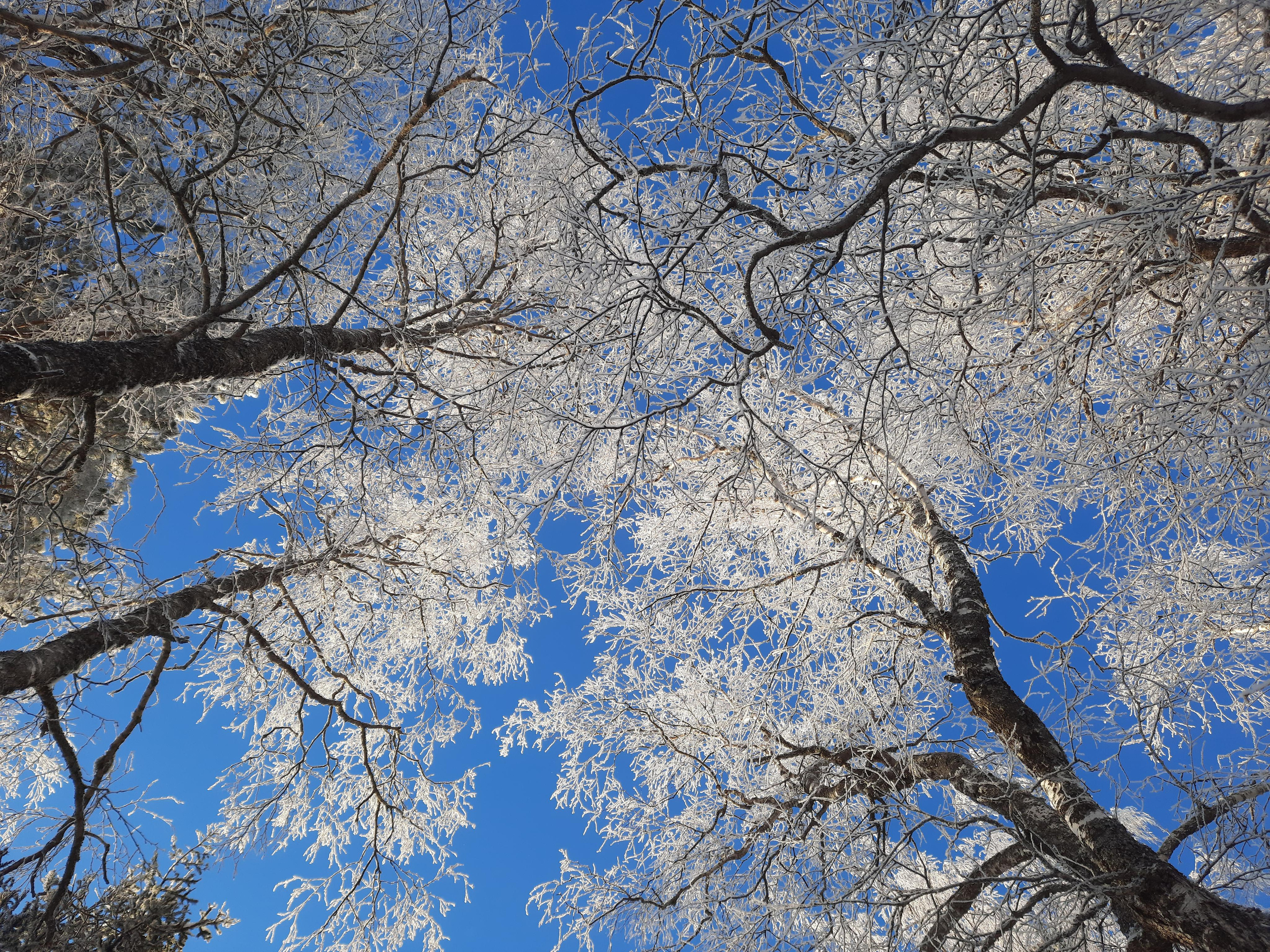 Парк Зюраткуль — Ледяной фонтан, Сохатка и хребет Москаль. Свадебный фотограф на Урале Виктор Соколов
