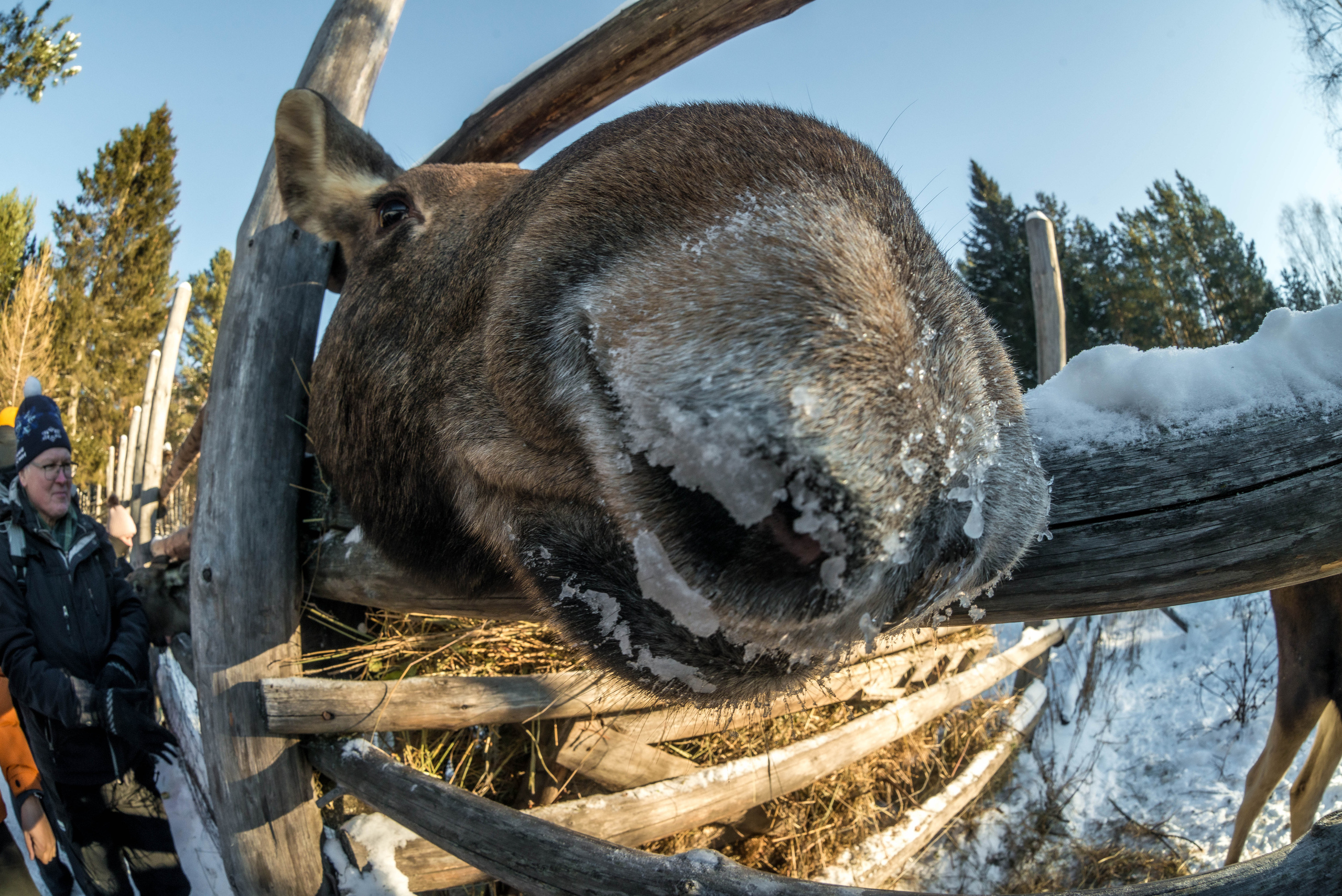 Парк Зюраткуль — Ледяной фонтан, Сохатка и хребет Москаль. Свадебный фотограф на Урале Виктор Соколов