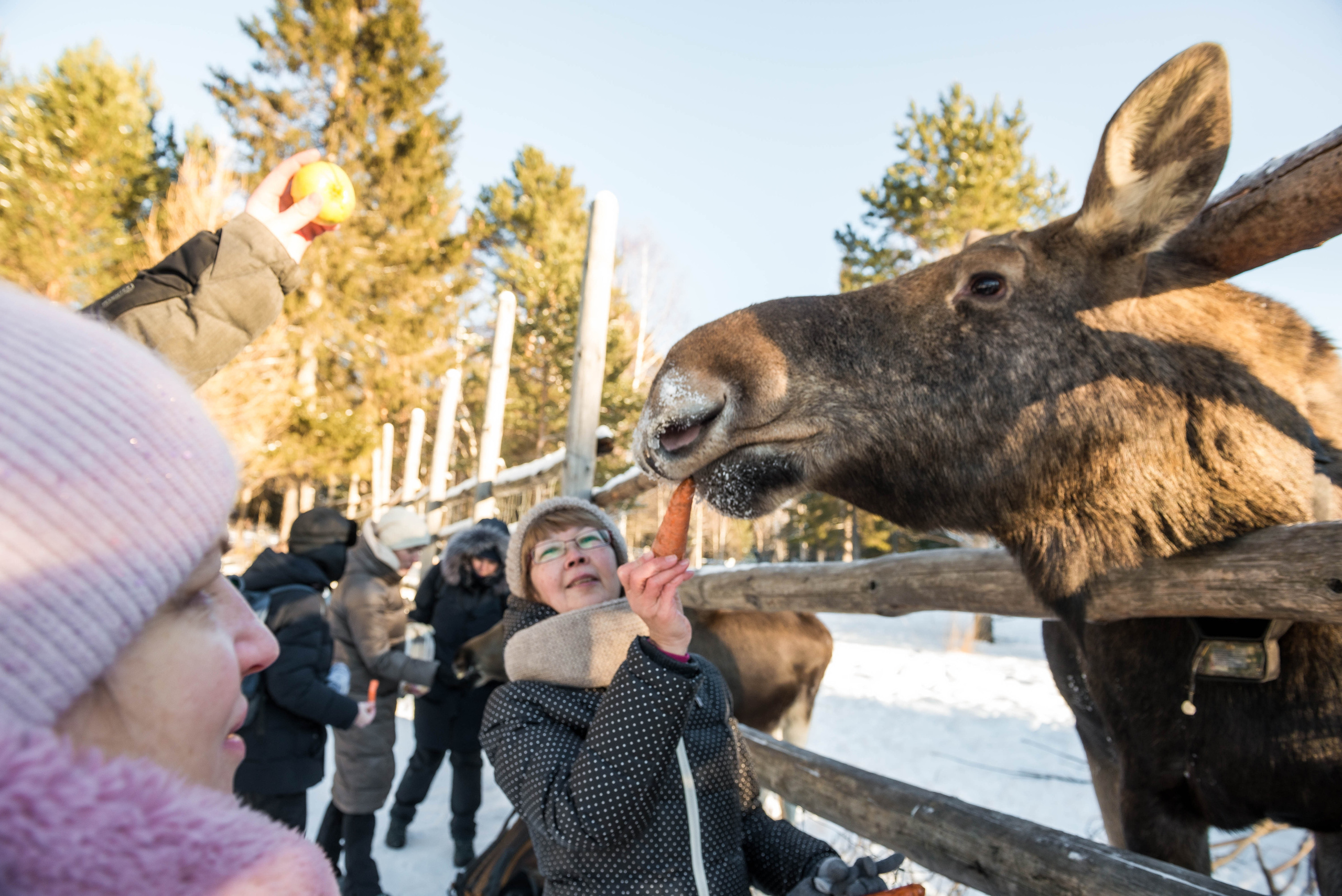 Парк Зюраткуль — Ледяной фонтан, Сохатка и хребет Москаль. Свадебный фотограф на Урале Виктор Соколов