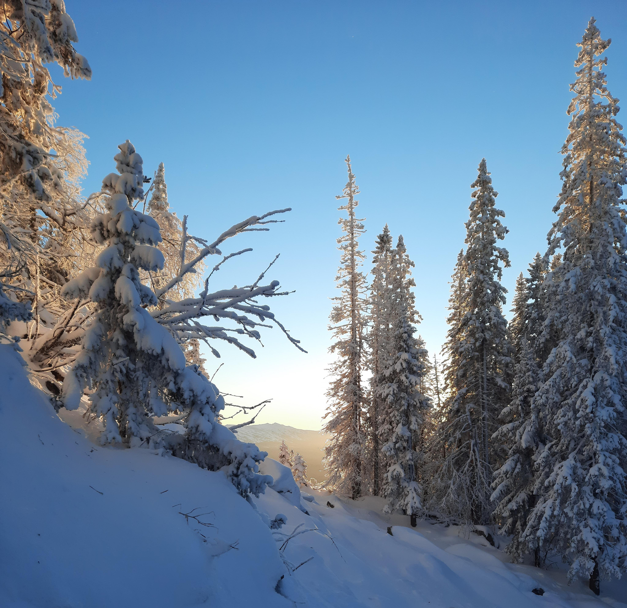 Парк Зюраткуль — Ледяной фонтан, Сохатка и хребет Москаль. Свадебный фотограф на Урале Виктор Соколов
