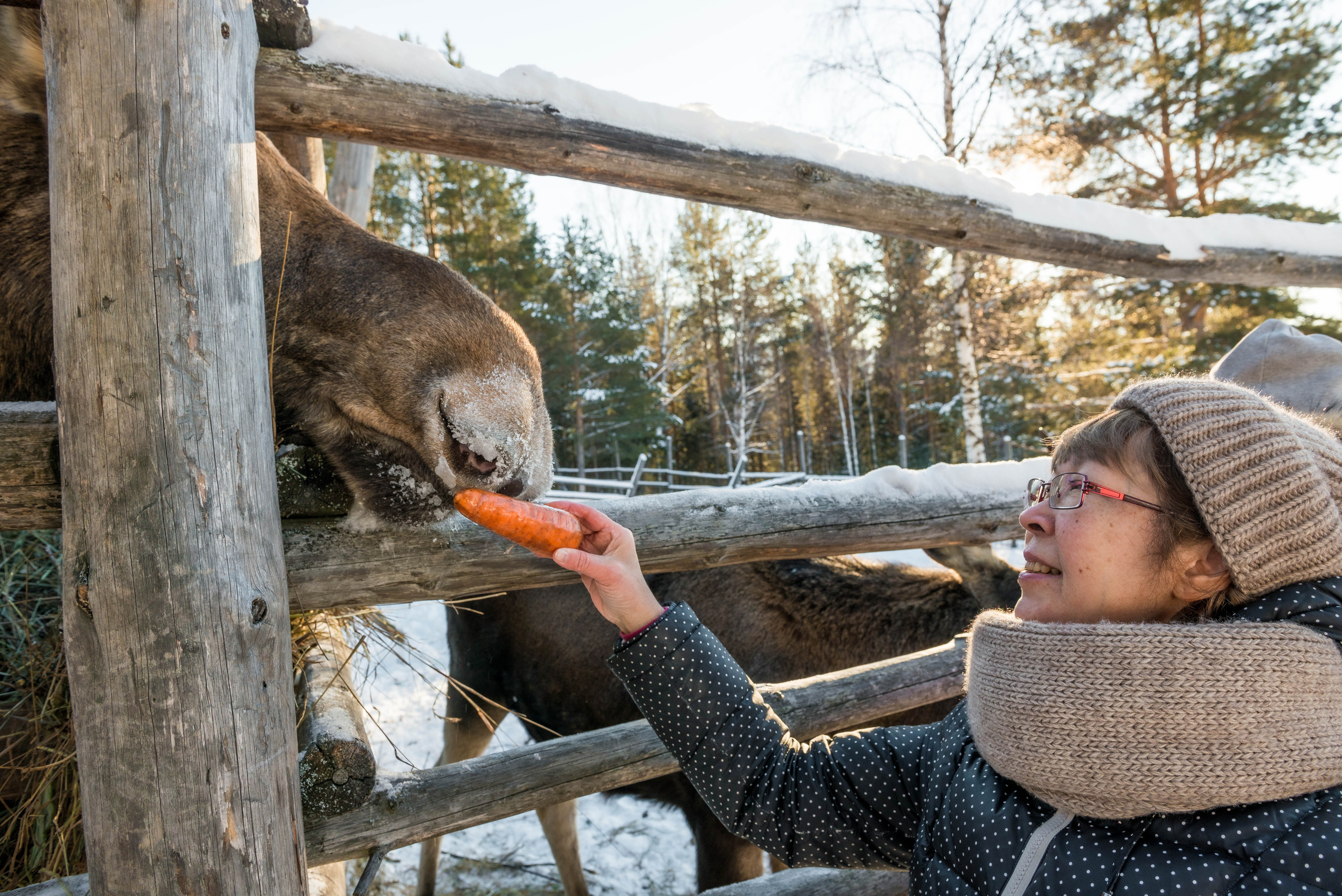 Парк Зюраткуль — Ледяной фонтан, Сохатка и хребет Москаль. Свадебный фотограф на Урале Виктор Соколов
