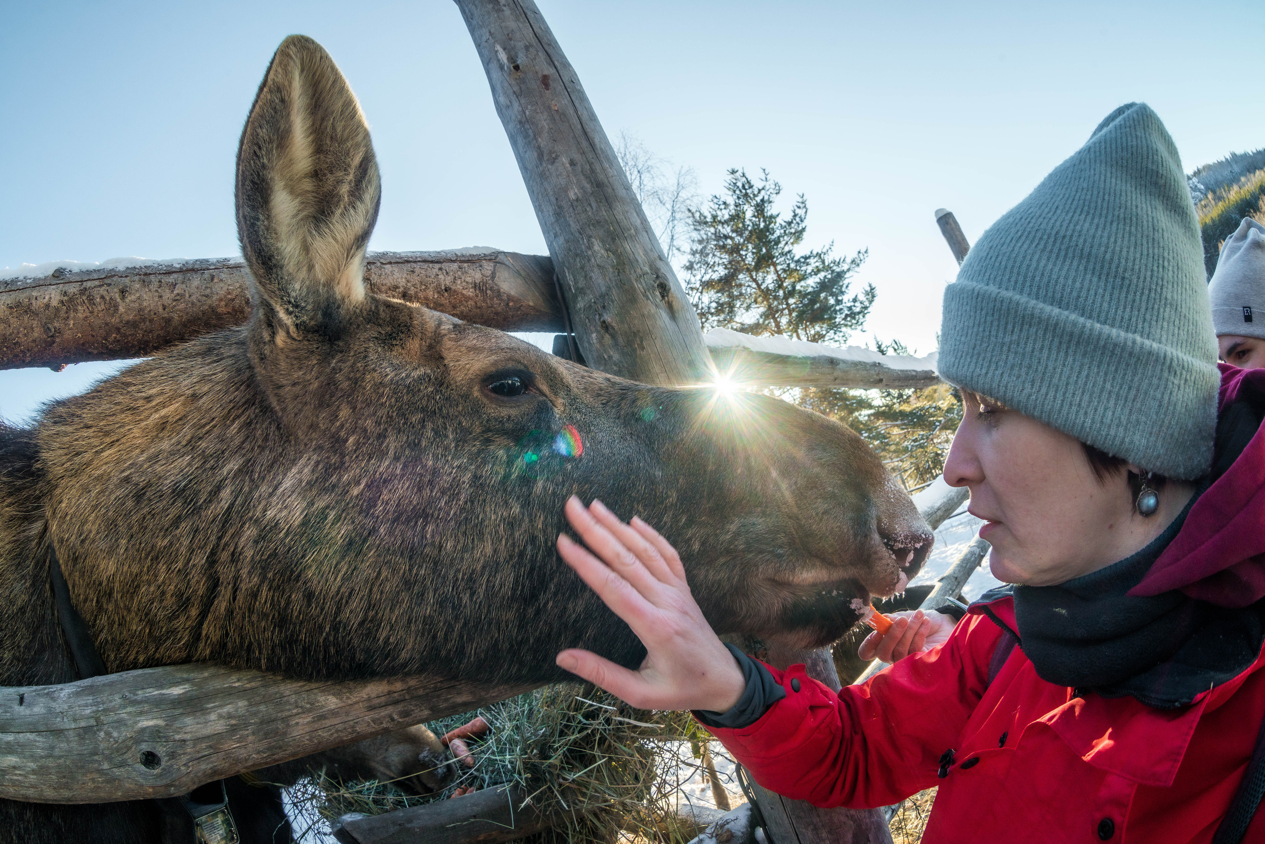 Парк Зюраткуль — Ледяной фонтан, Сохатка и хребет Москаль. Свадебный фотограф на Урале Виктор Соколов