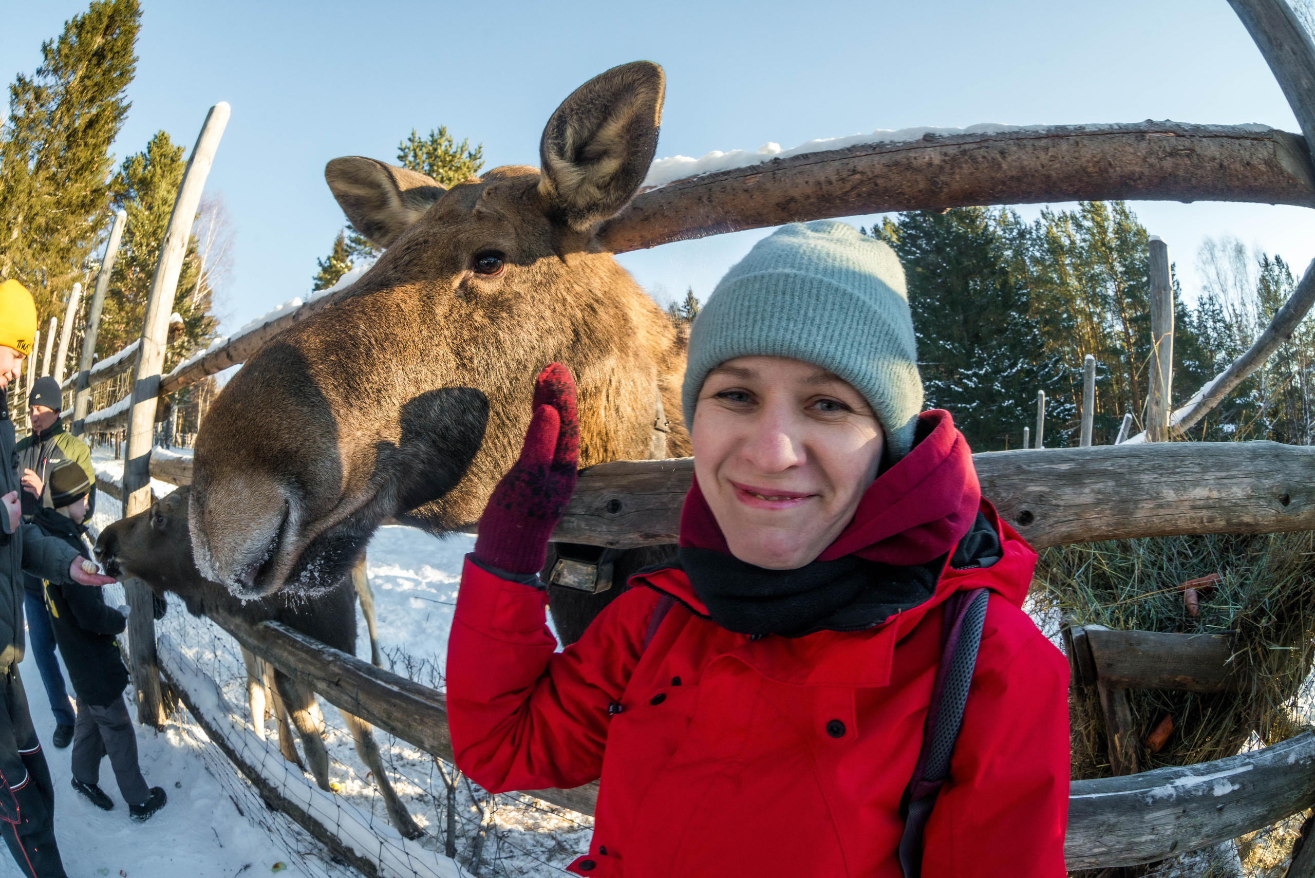 Парк Зюраткуль — Ледяной фонтан, Сохатка и хребет Москаль. Свадебный фотограф на Урале Виктор Соколов