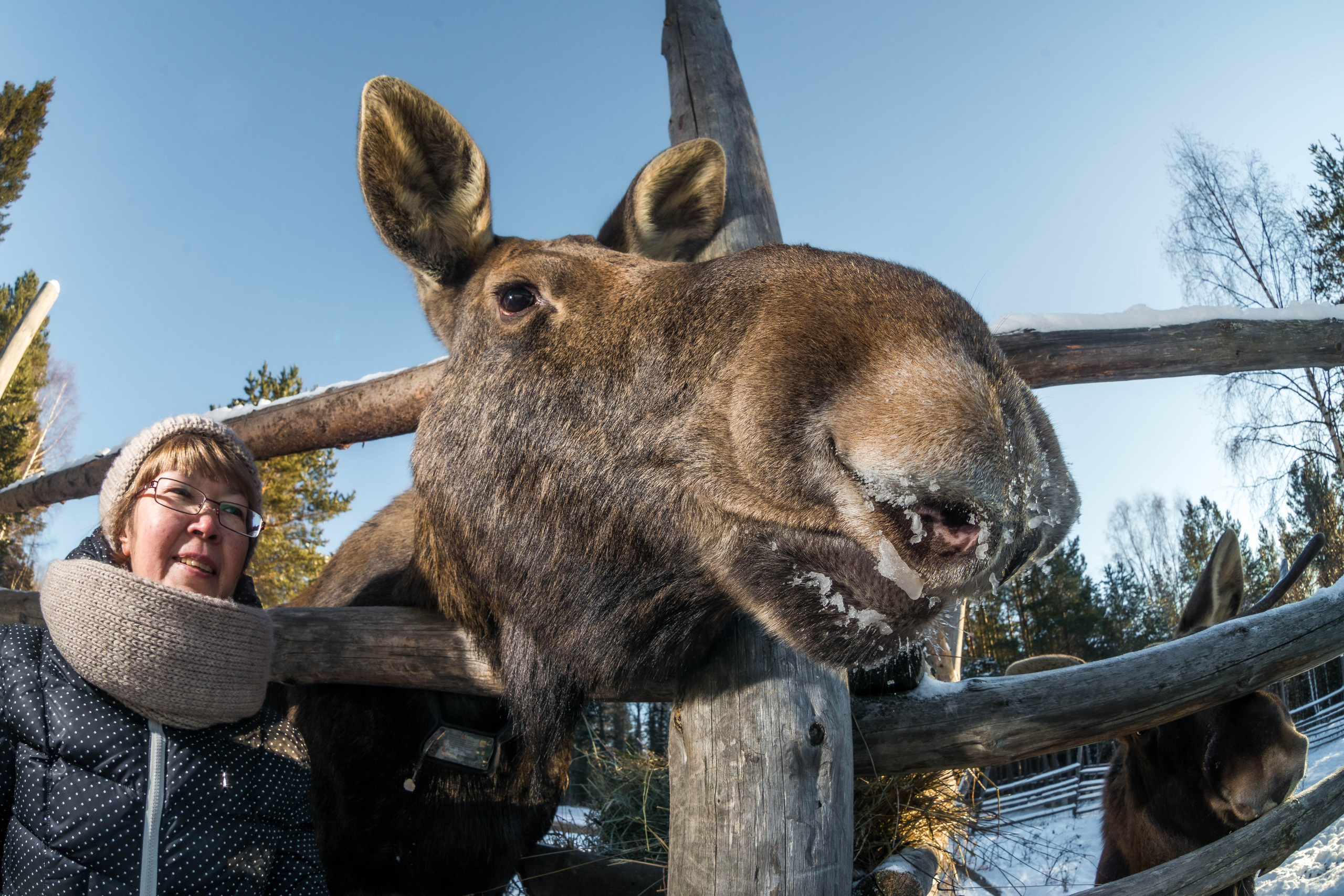 Парк Зюраткуль — Ледяной фонтан, Сохатка и хребет Москаль. Свадебный фотограф на Урале Виктор Соколов