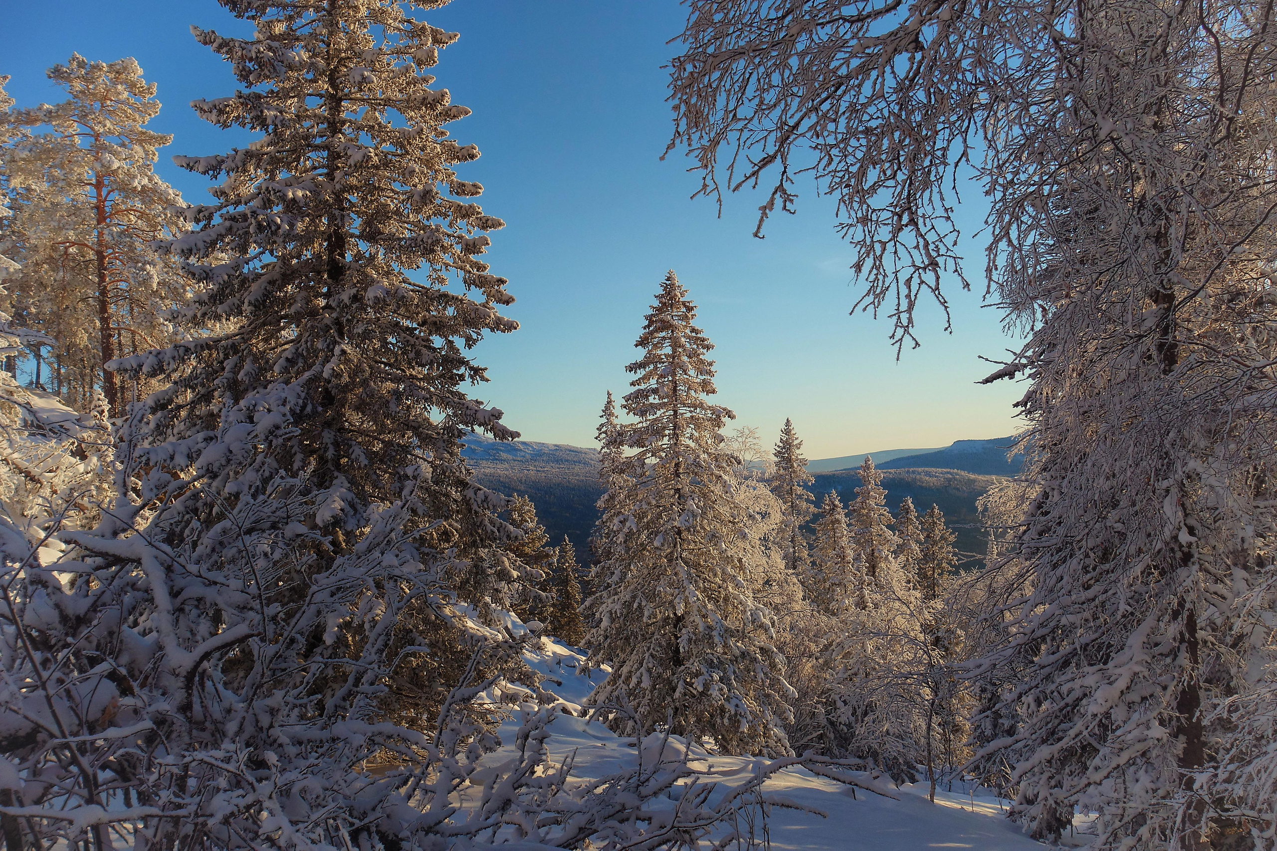 Парк Зюраткуль — Ледяной фонтан, Сохатка и хребет Москаль. Свадебный фотограф на Урале Виктор Соколов