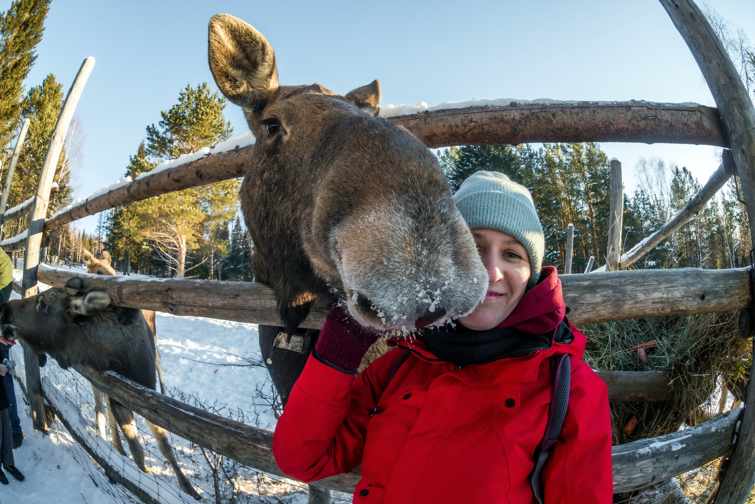 Парк Зюраткуль — Ледяной фонтан, Сохатка и хребет Москаль. Свадебный фотограф на Урале Виктор Соколов
