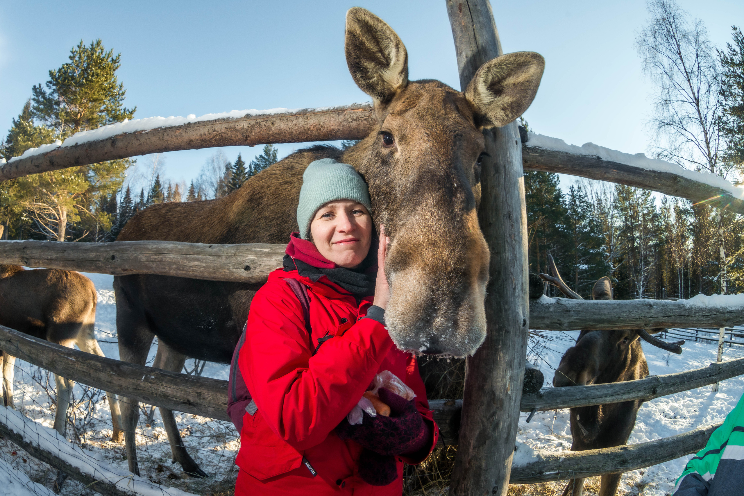 Парк Зюраткуль — Ледяной фонтан, Сохатка и хребет Москаль. Свадебный фотограф на Урале Виктор Соколов