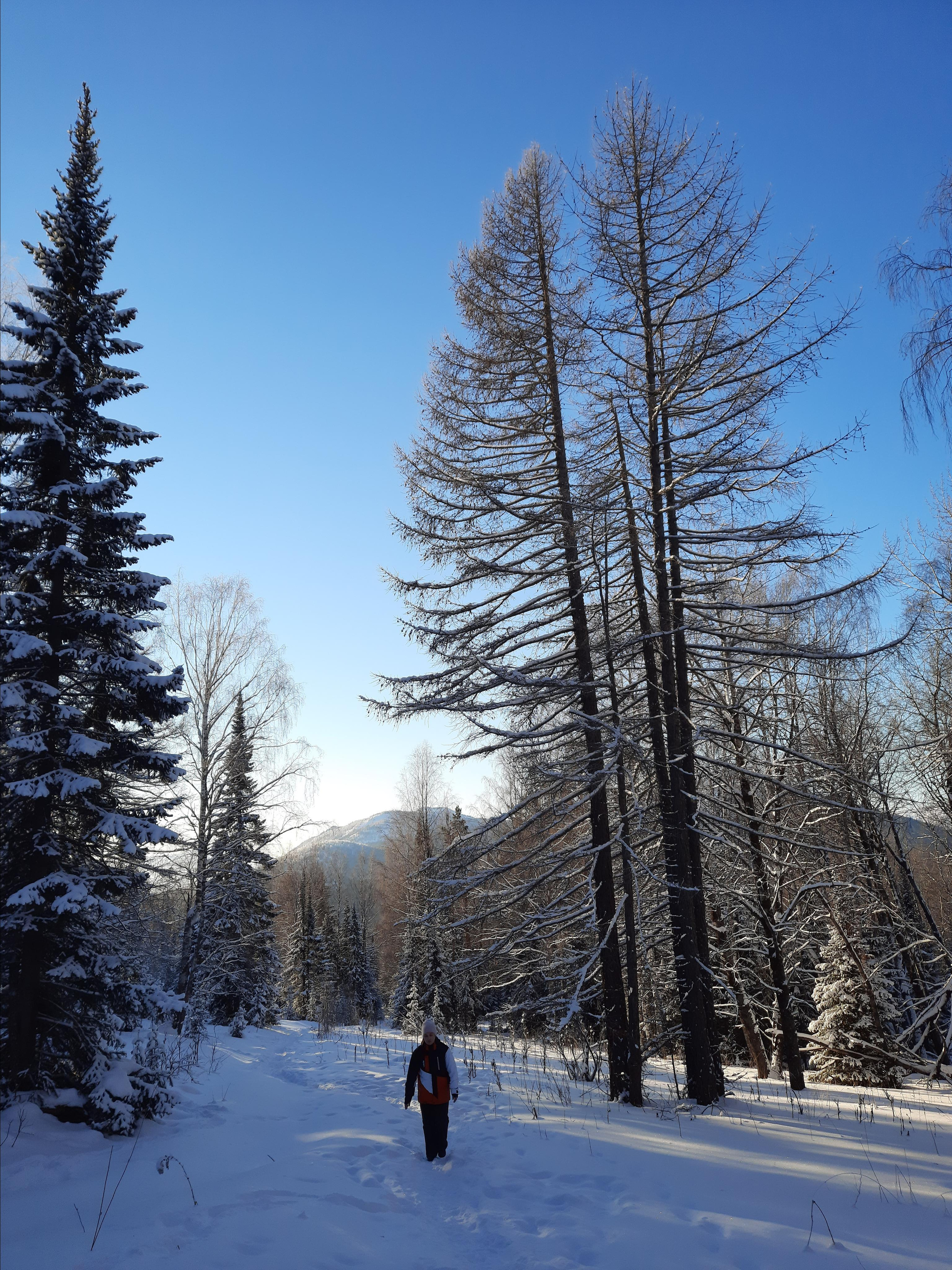 Парк Зюраткуль — Ледяной фонтан, Сохатка и хребет Москаль. Свадебный фотограф на Урале Виктор Соколов