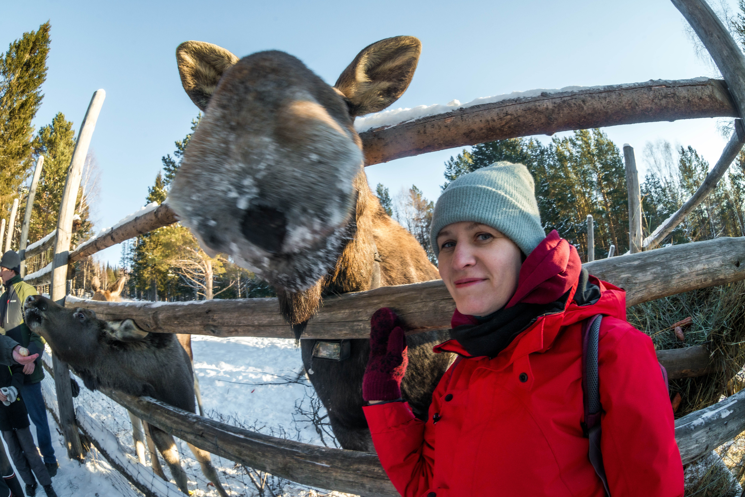 Парк Зюраткуль — Ледяной фонтан, Сохатка и хребет Москаль. Свадебный фотограф на Урале Виктор Соколов