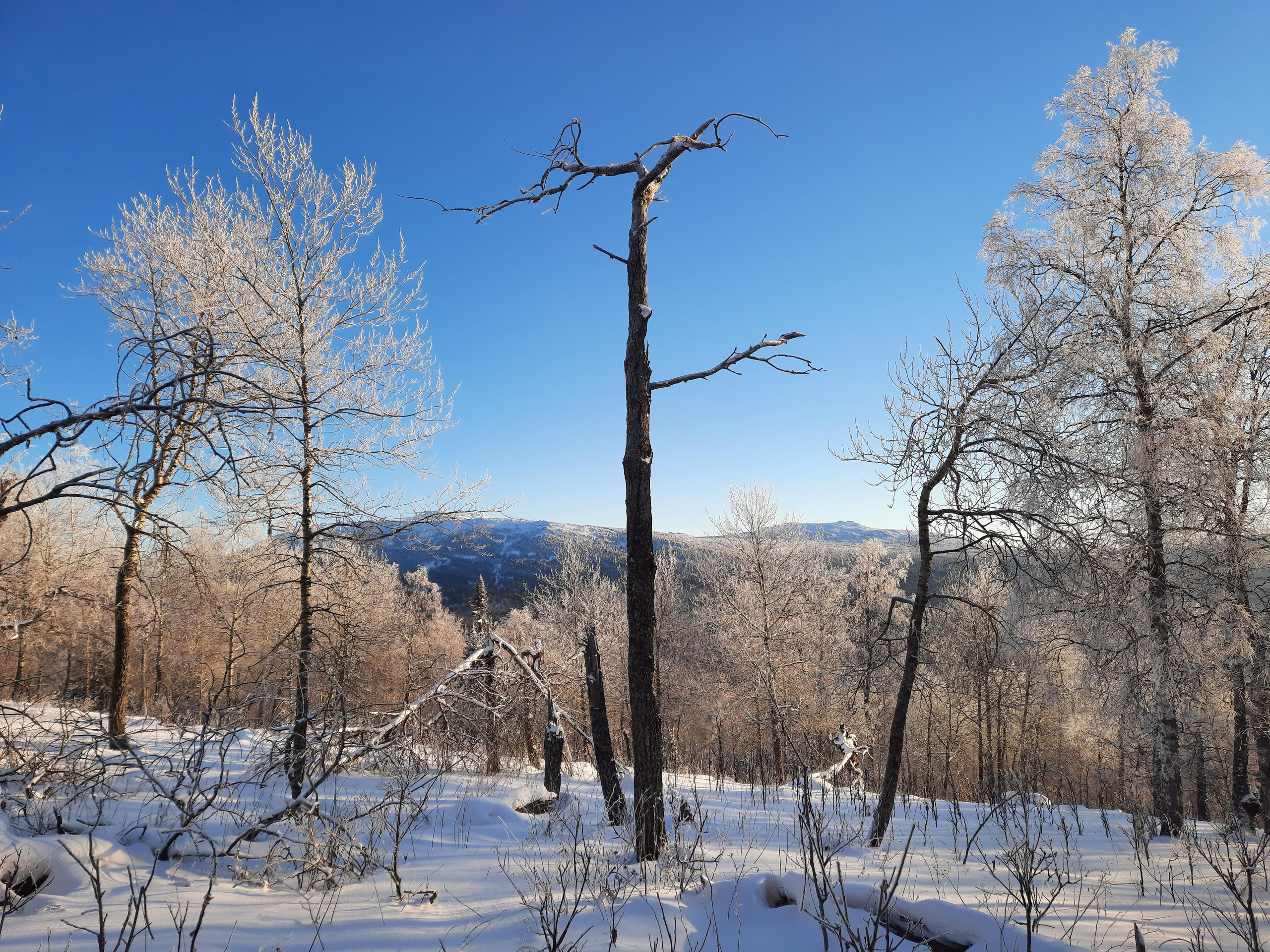 Парк Зюраткуль — Ледяной фонтан, Сохатка и хребет Москаль. Свадебный фотограф на Урале Виктор Соколов