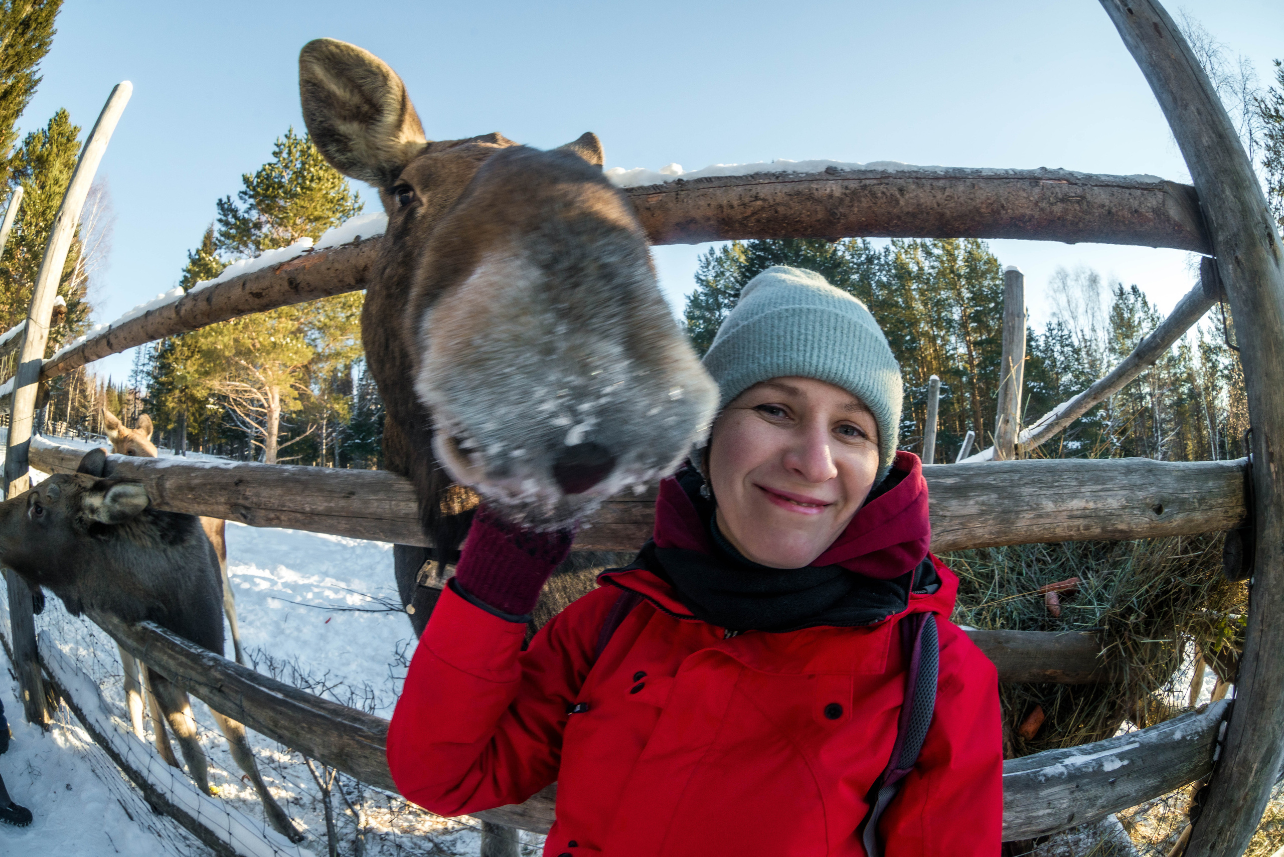 Парк Зюраткуль — Ледяной фонтан, Сохатка и хребет Москаль. Свадебный фотограф на Урале Виктор Соколов