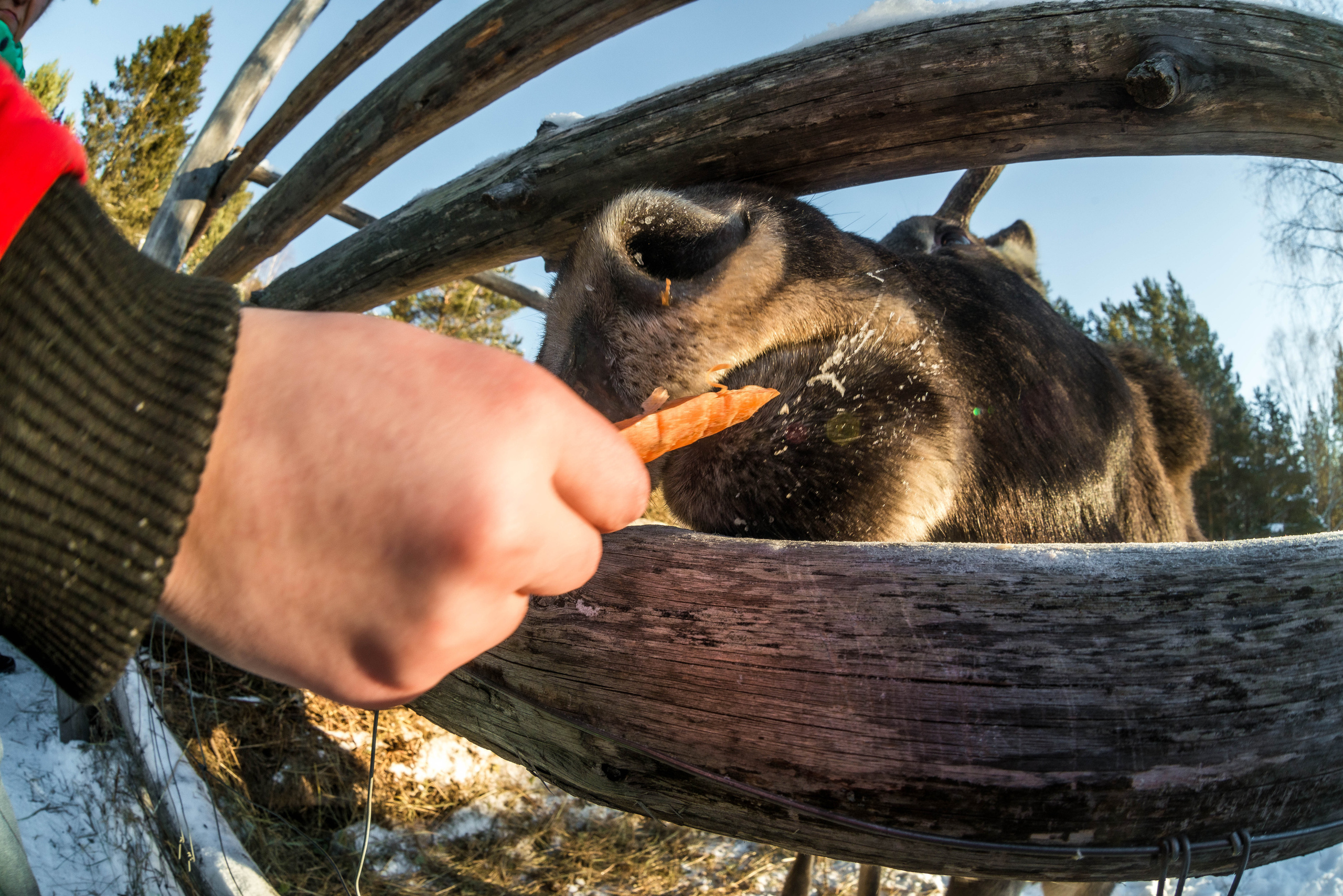 Парк Зюраткуль — Ледяной фонтан, Сохатка и хребет Москаль. Свадебный фотограф на Урале Виктор Соколов