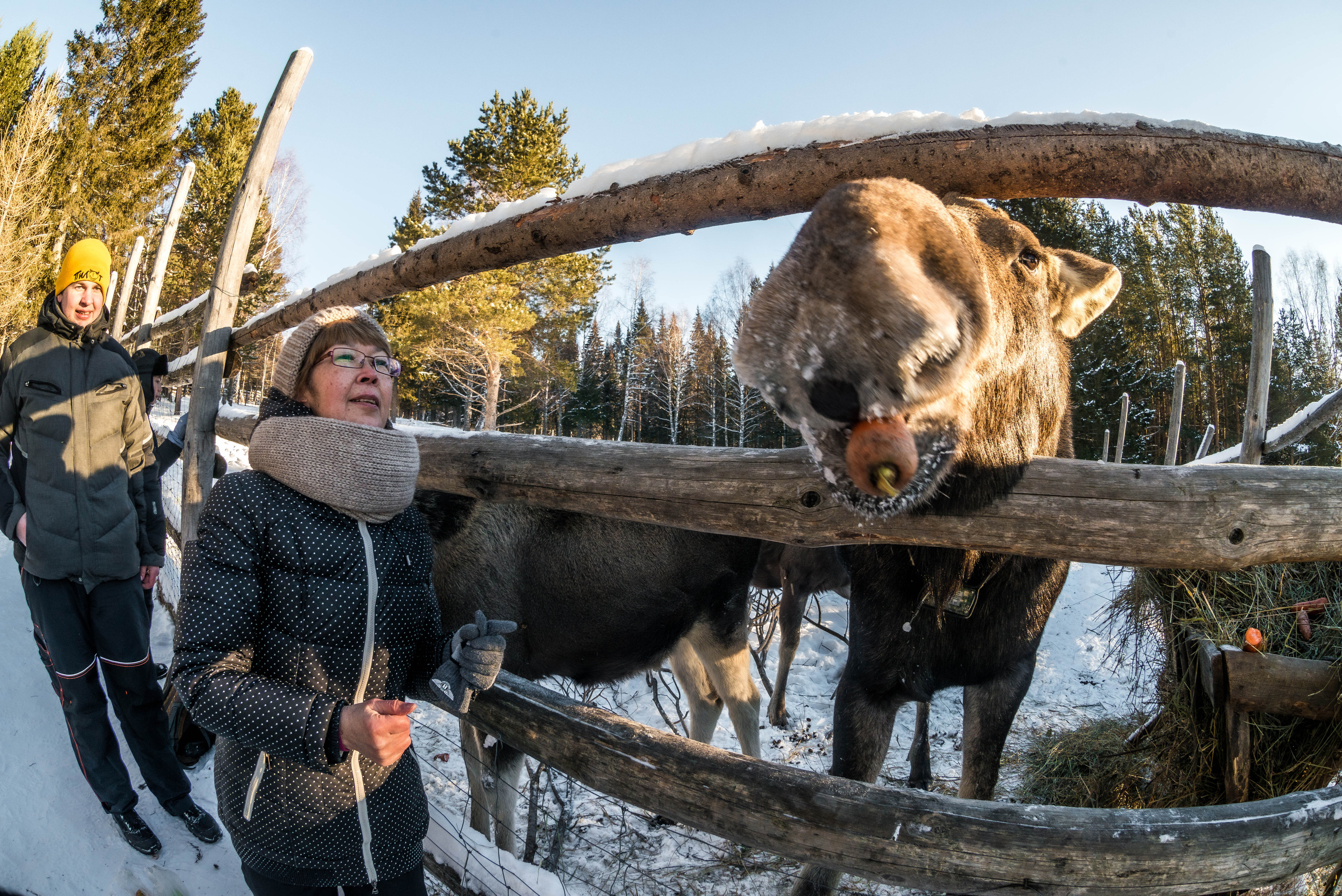 Парк Зюраткуль — Ледяной фонтан, Сохатка и хребет Москаль. Свадебный фотограф на Урале Виктор Соколов