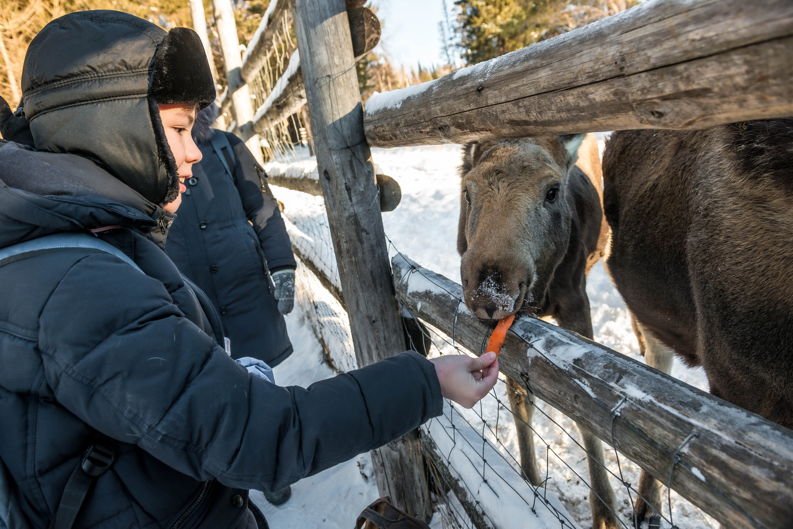 Парк Зюраткуль — Ледяной фонтан, Сохатка и хребет Москаль. Свадебный фотограф на Урале Виктор Соколов